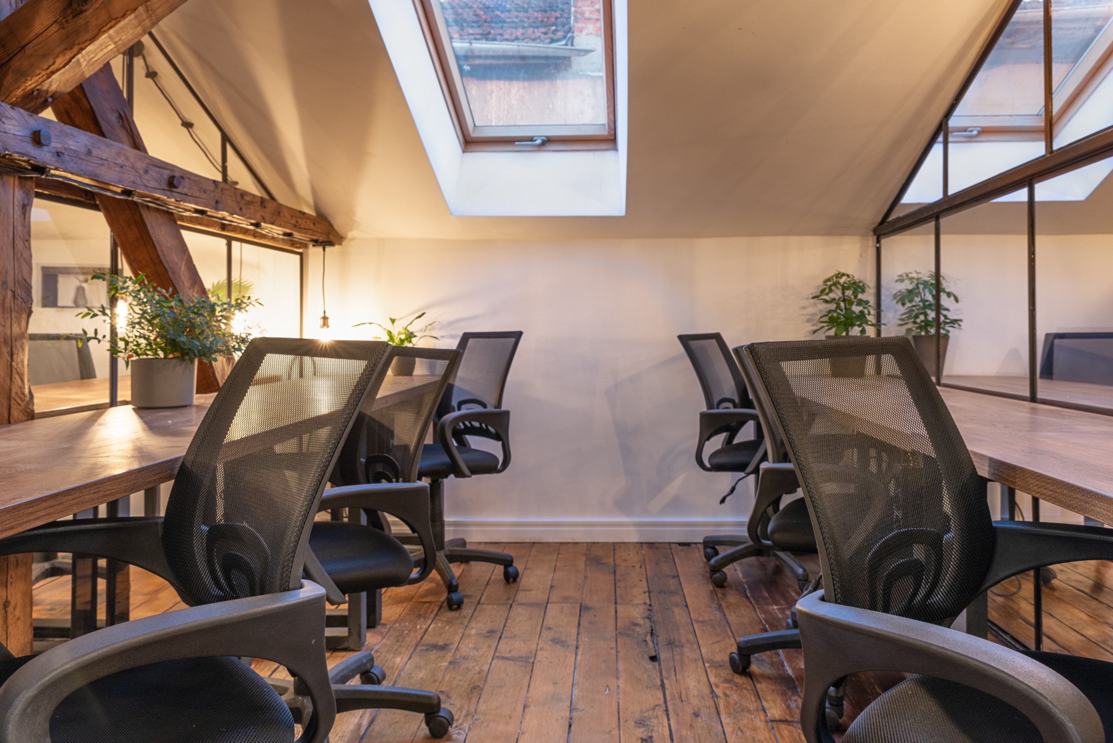 Scoutaround White Logo