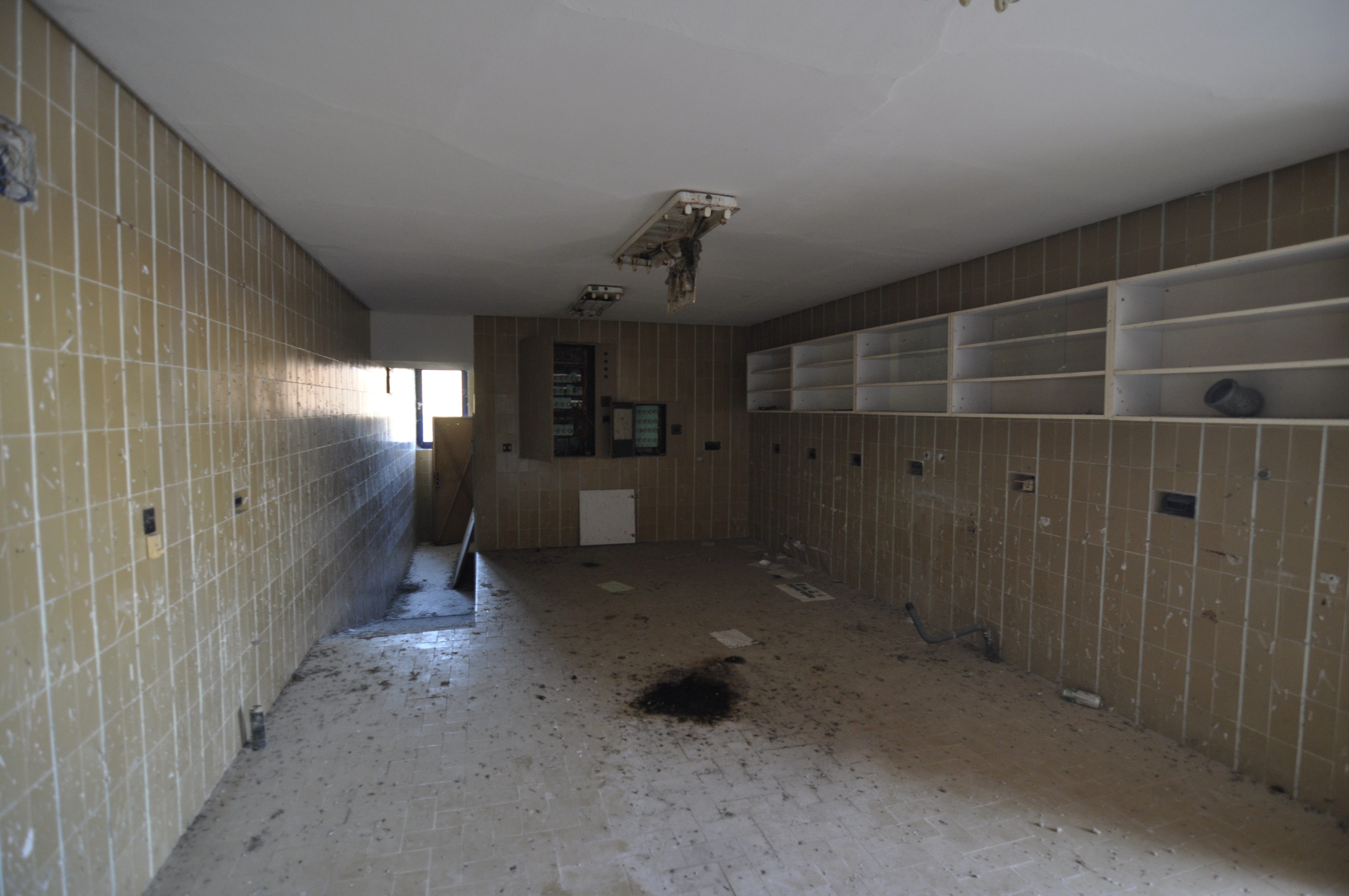 Scoutaround White Logo