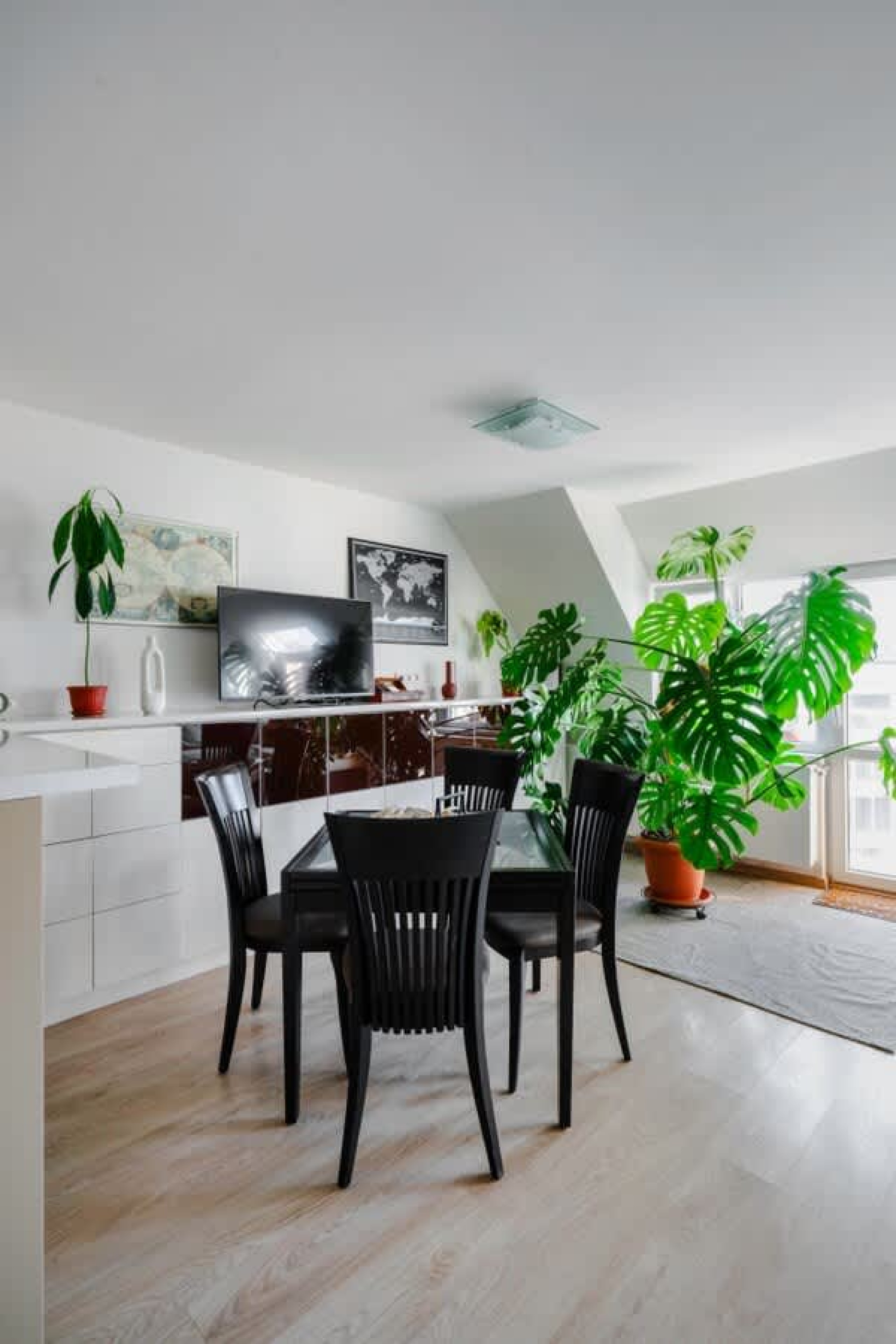 Scoutaround White Logo