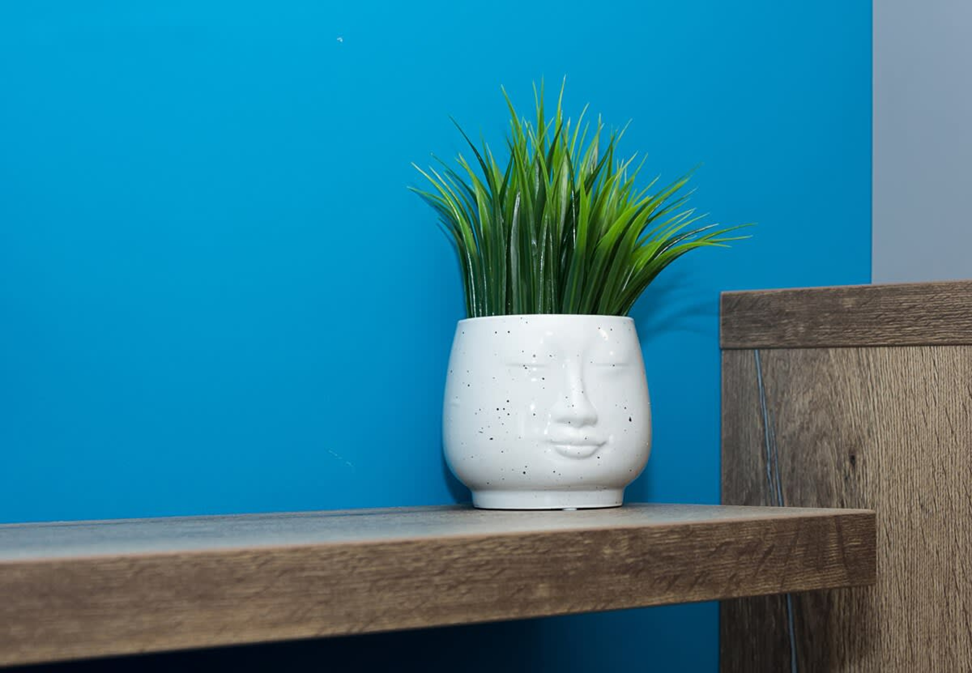 Scoutaround White Logo