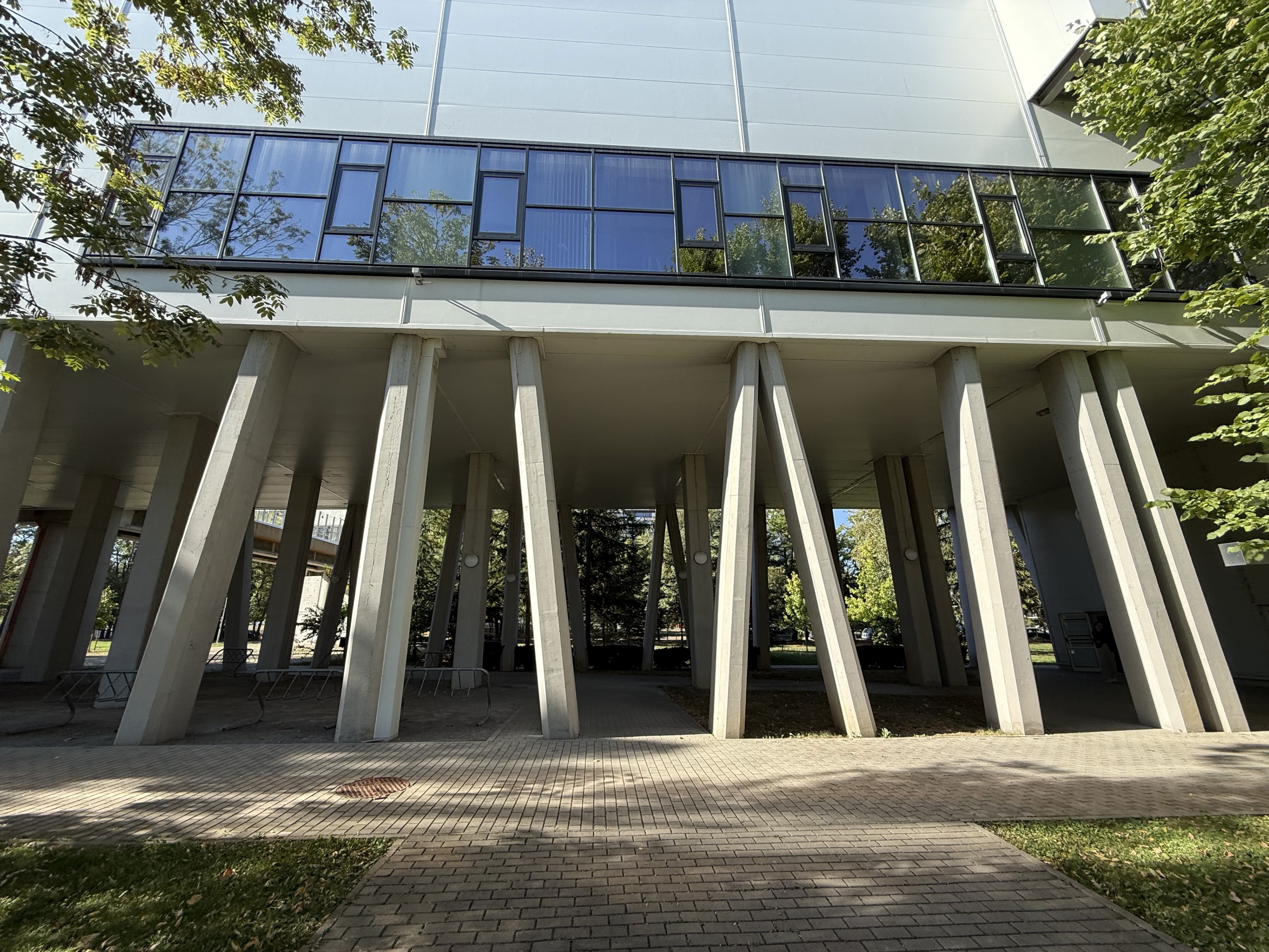 Scoutaround White Logo