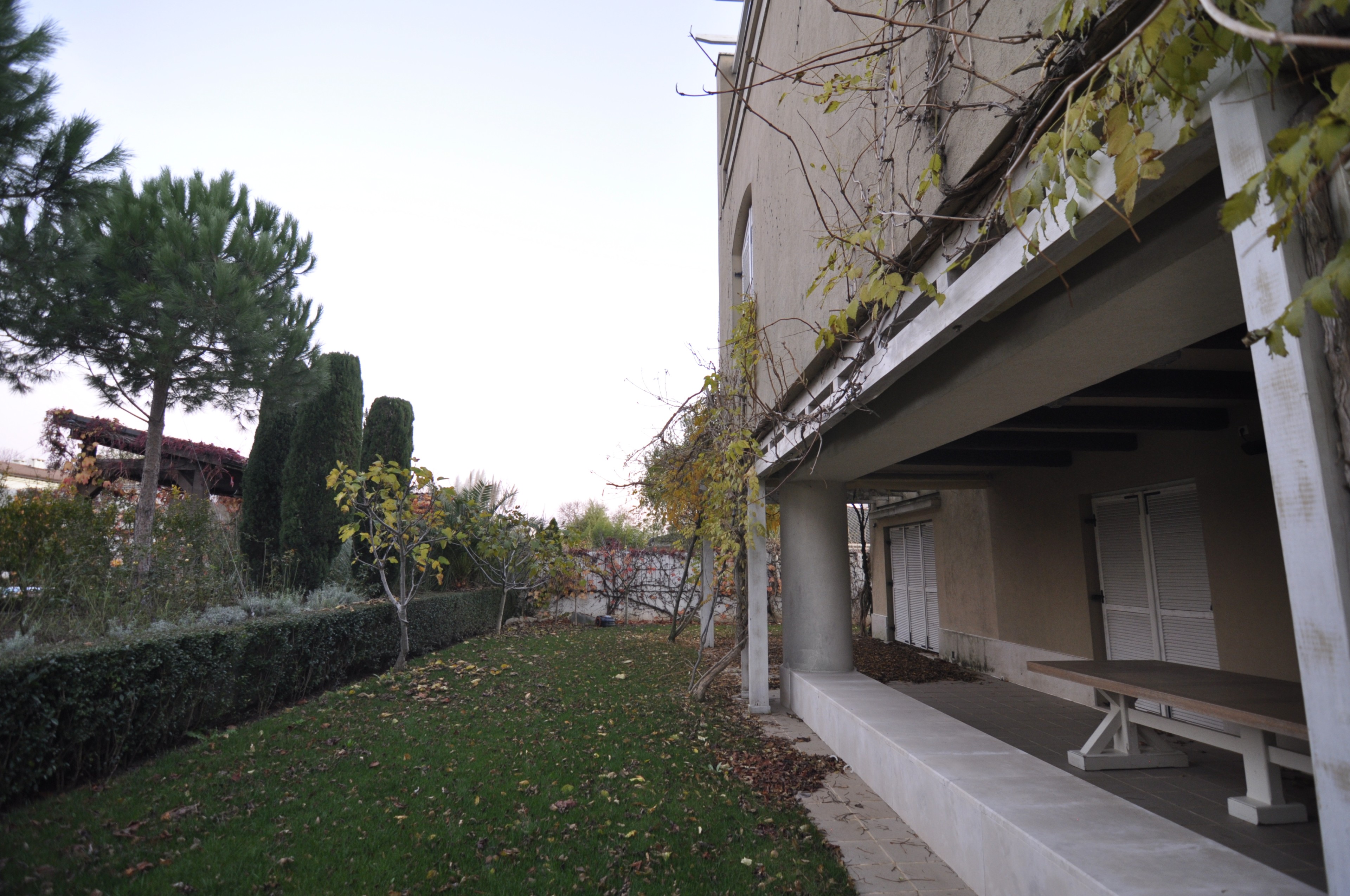 Scoutaround White Logo