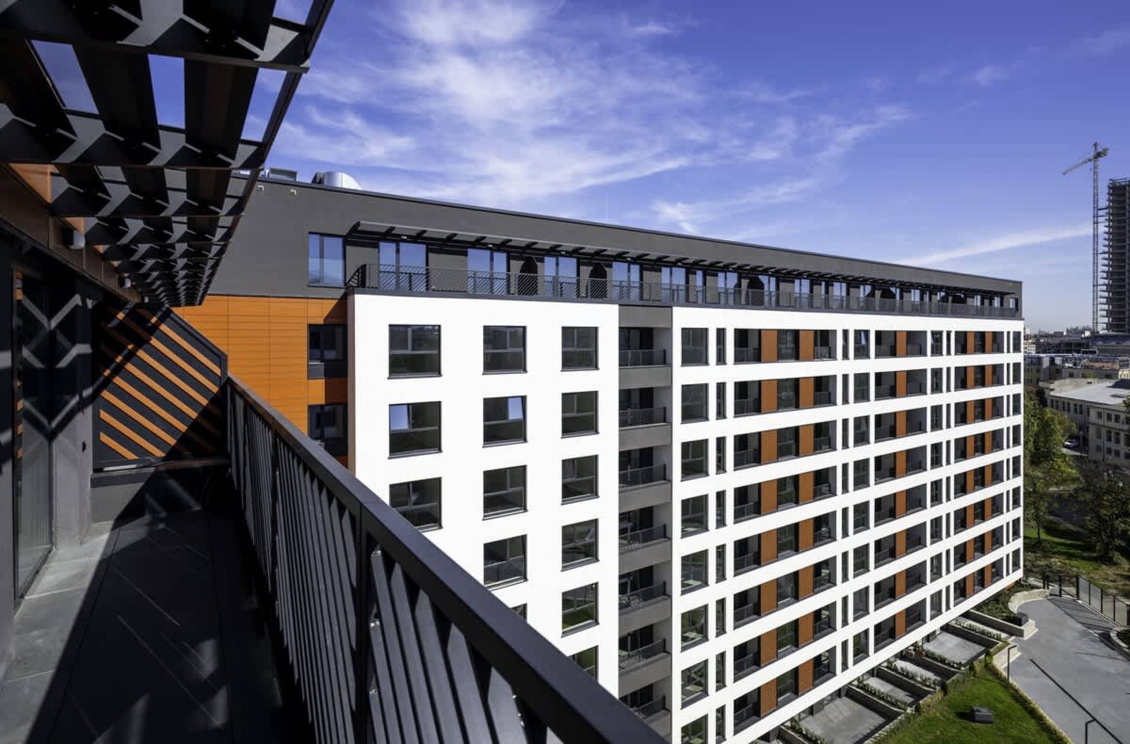 Scoutaround White Logo