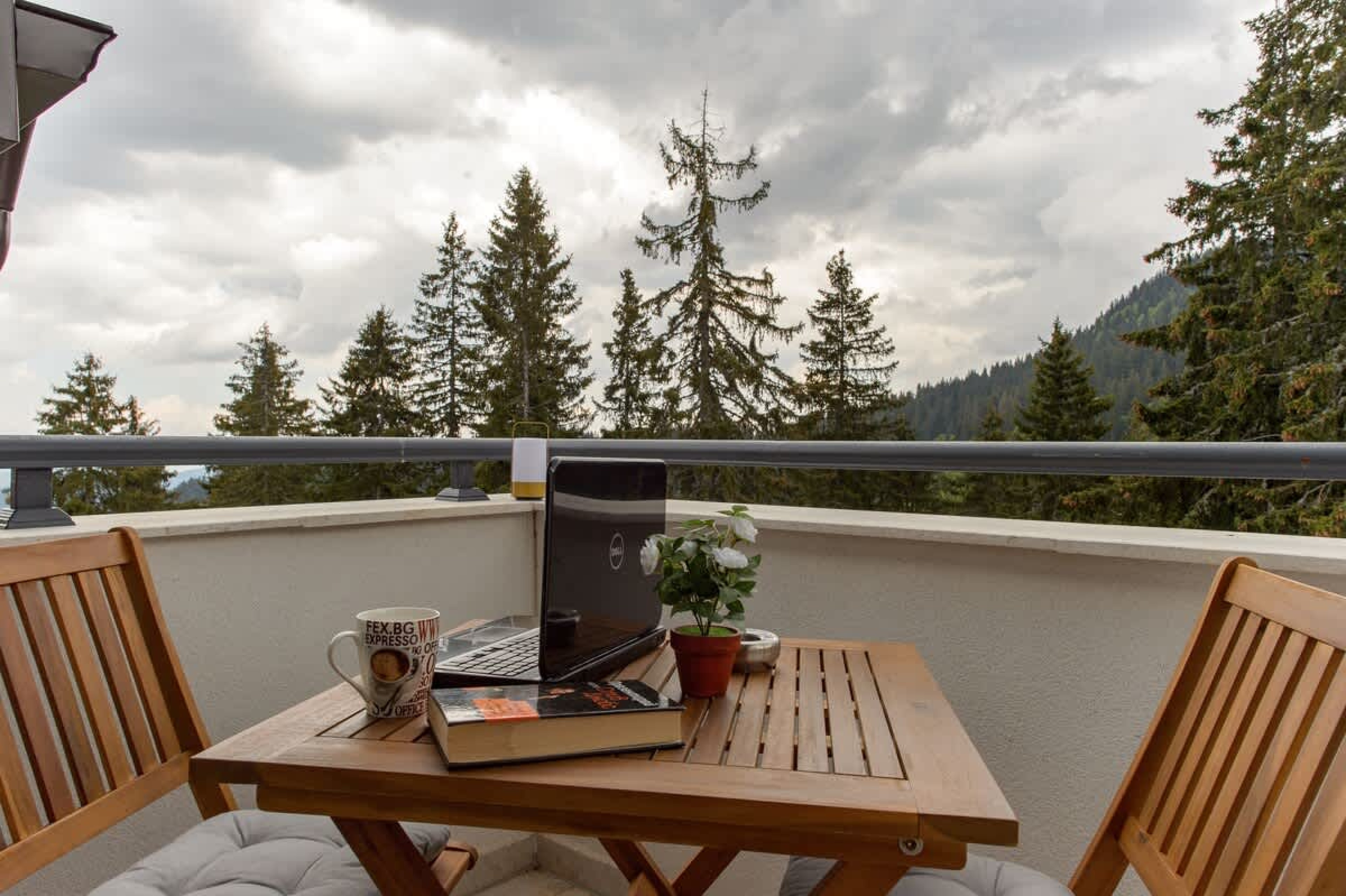 Scoutaround White Logo