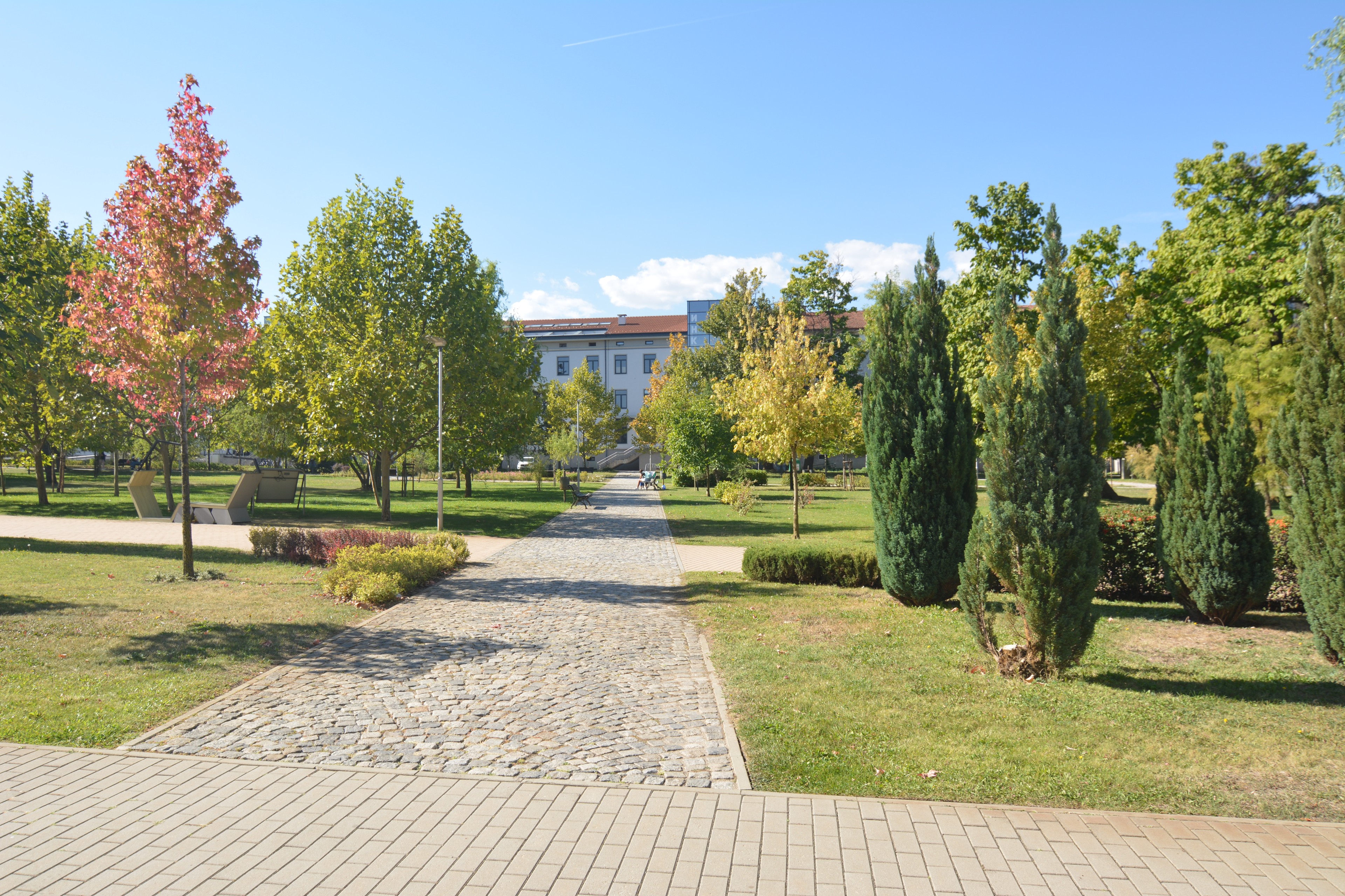 Scoutaround White Logo