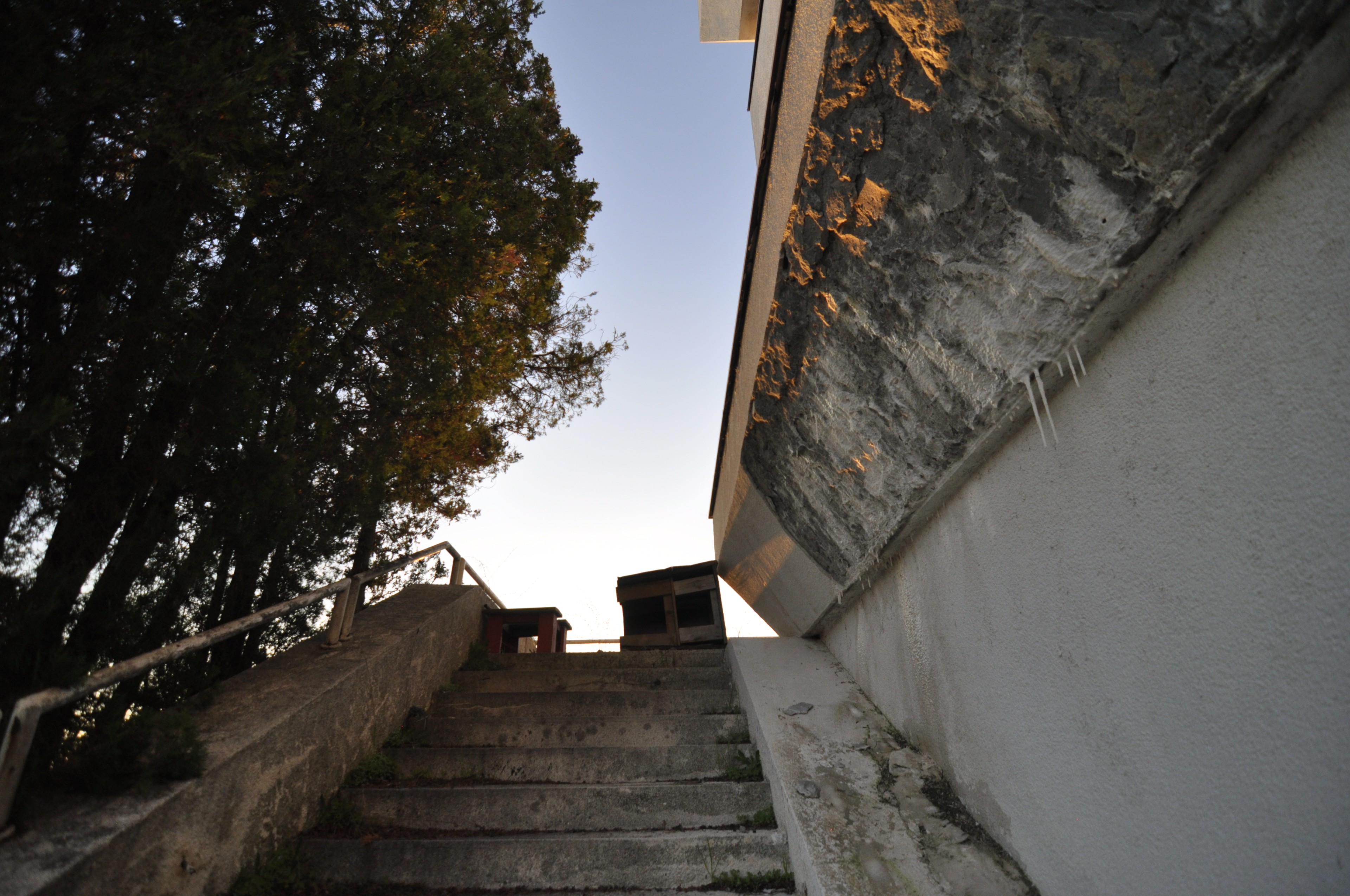 Scoutaround White Logo