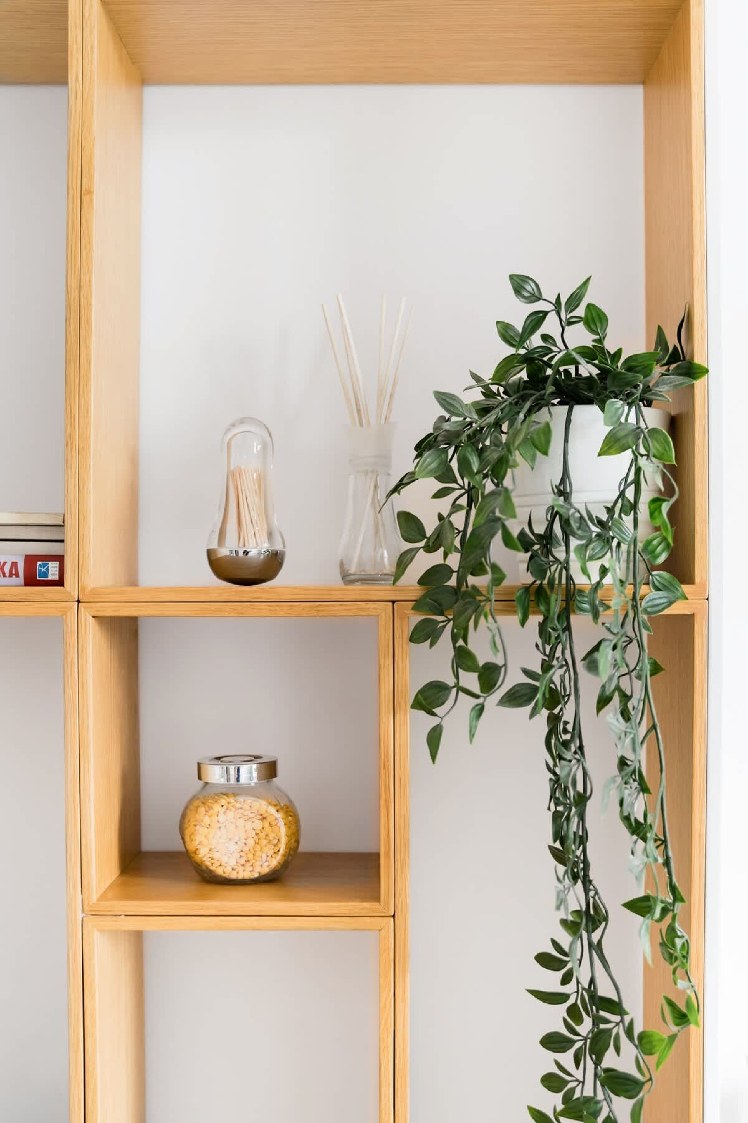 Scoutaround White Logo