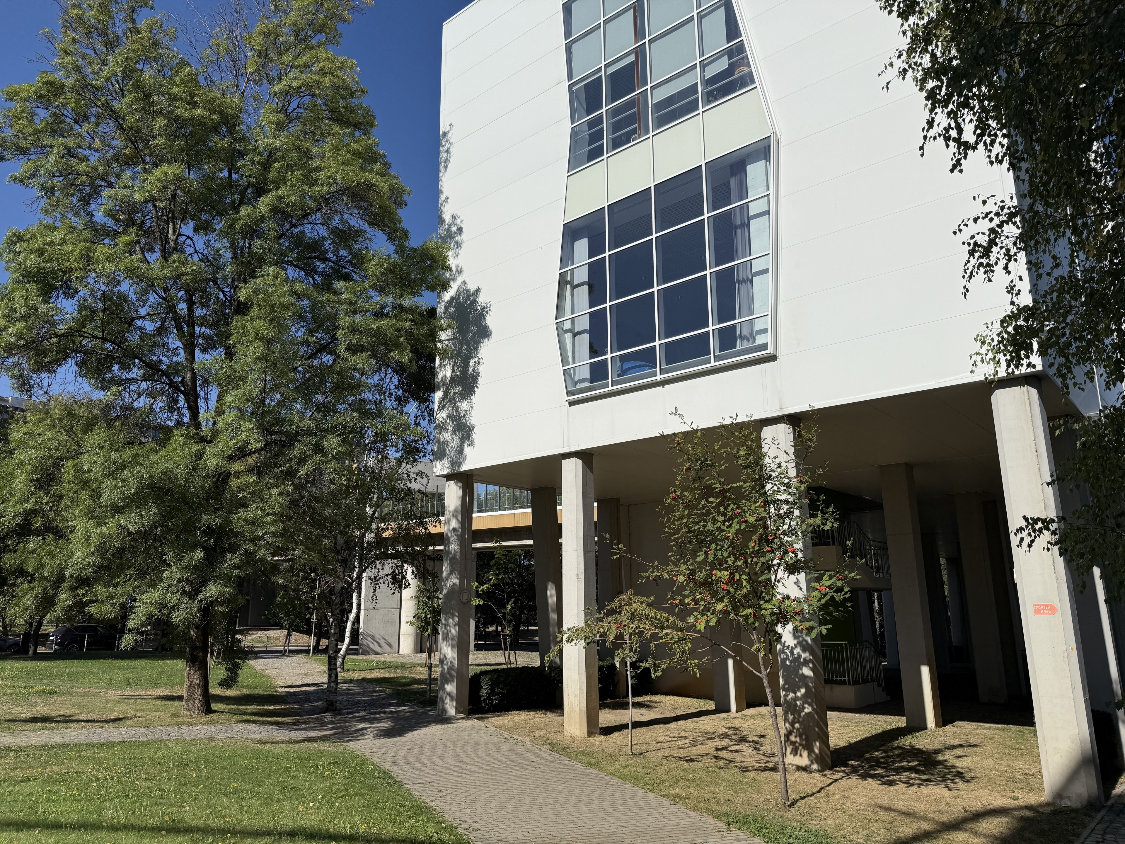 Scoutaround White Logo