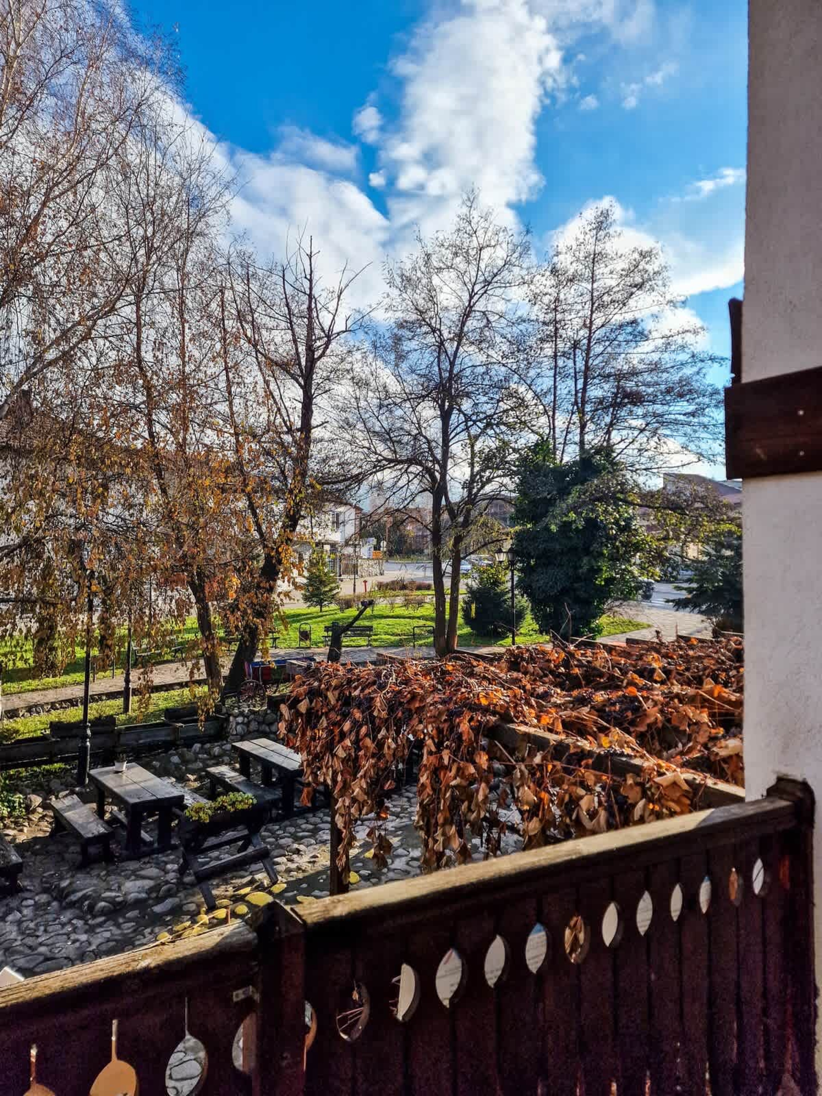 Scoutaround White Logo