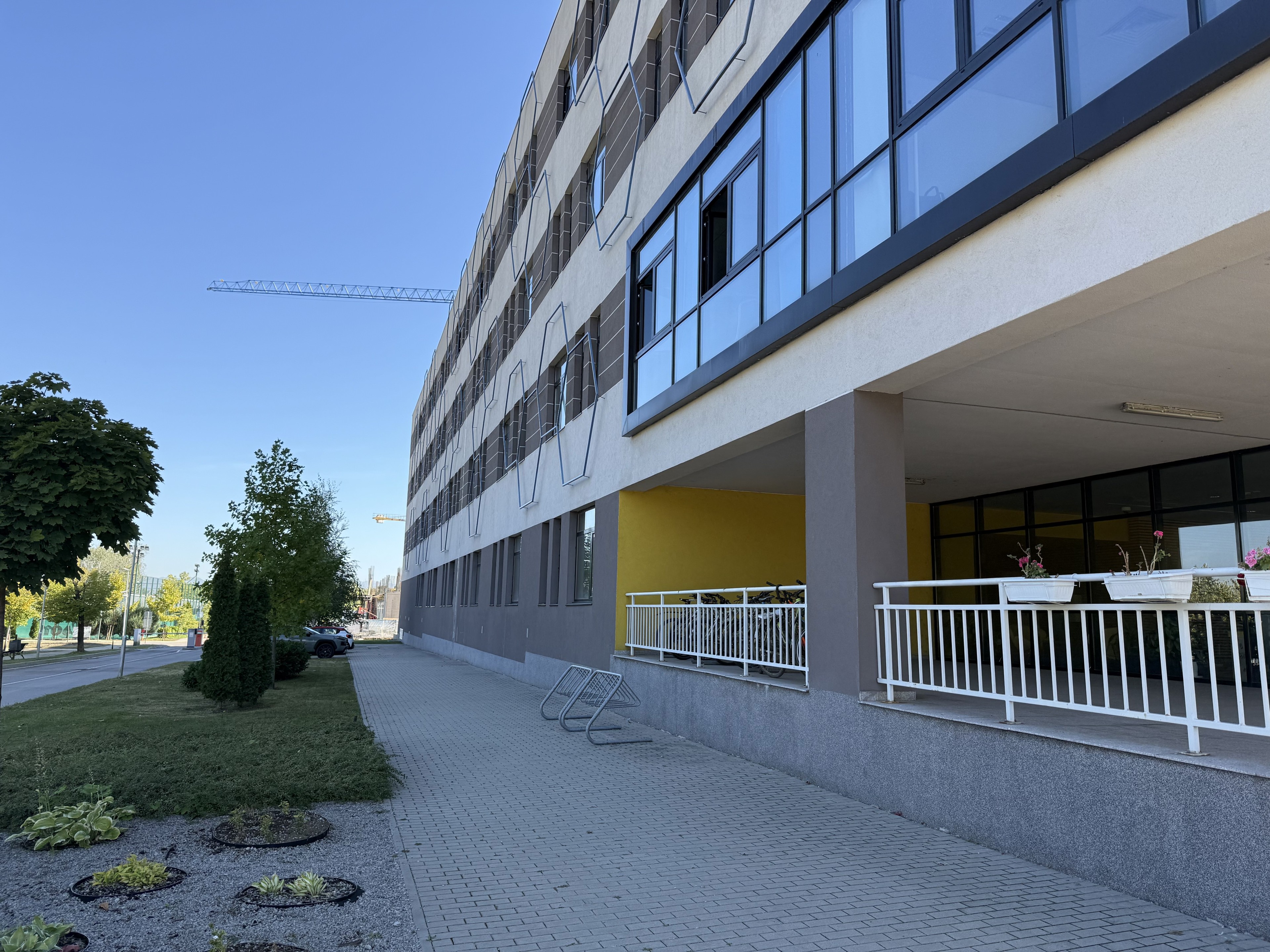 Scoutaround White Logo