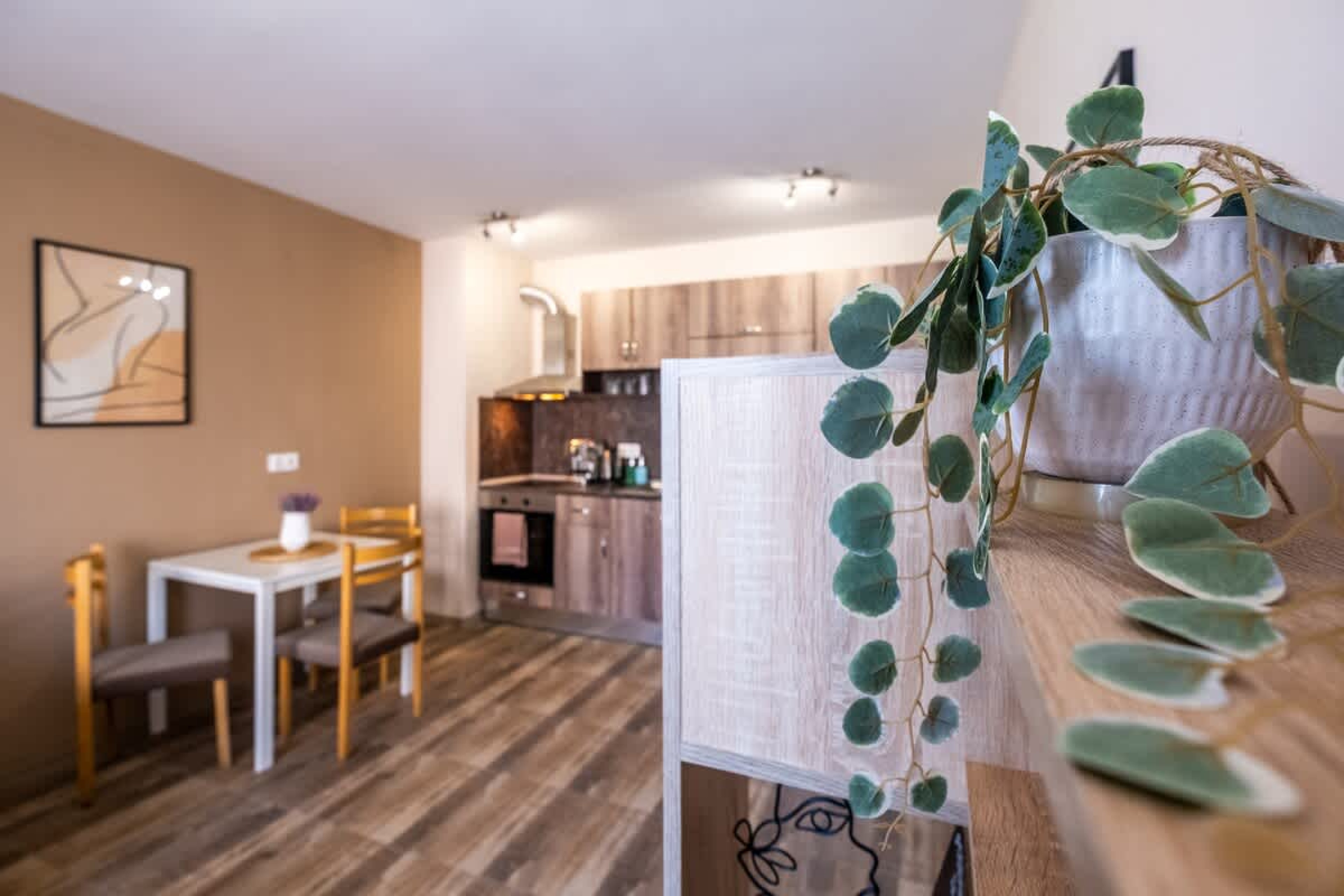 Scoutaround White Logo