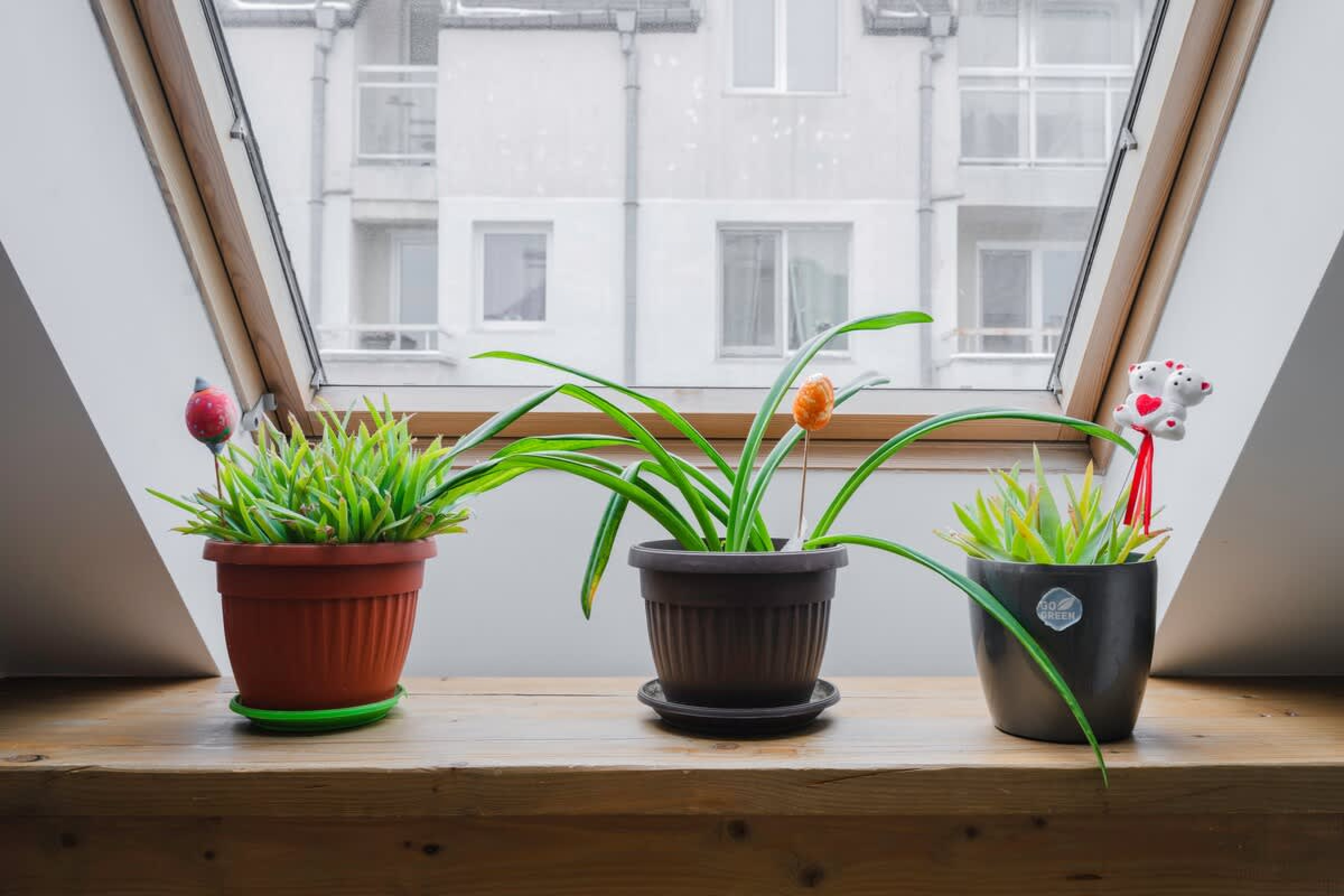 Scoutaround White Logo