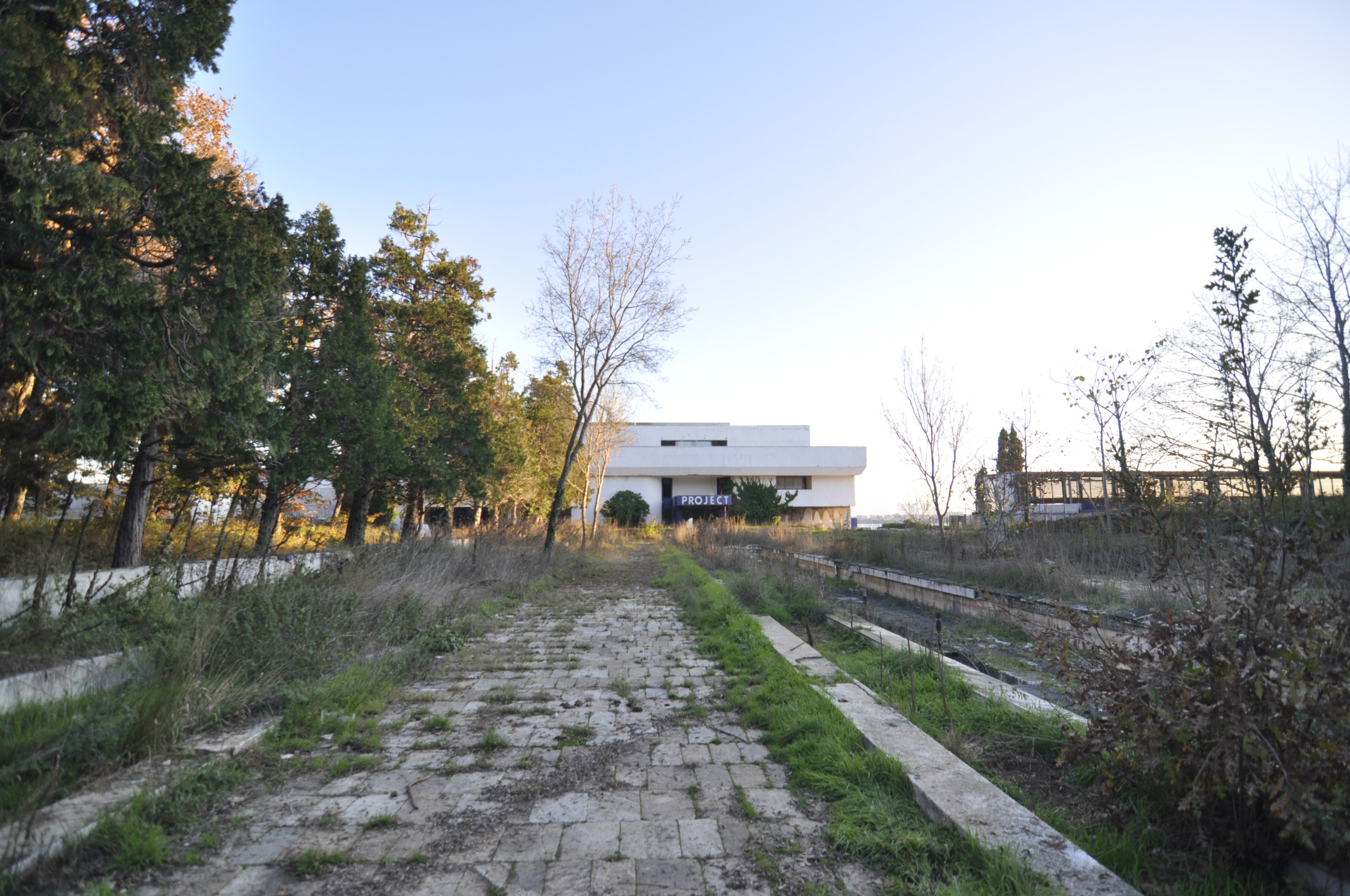 Scoutaround White Logo