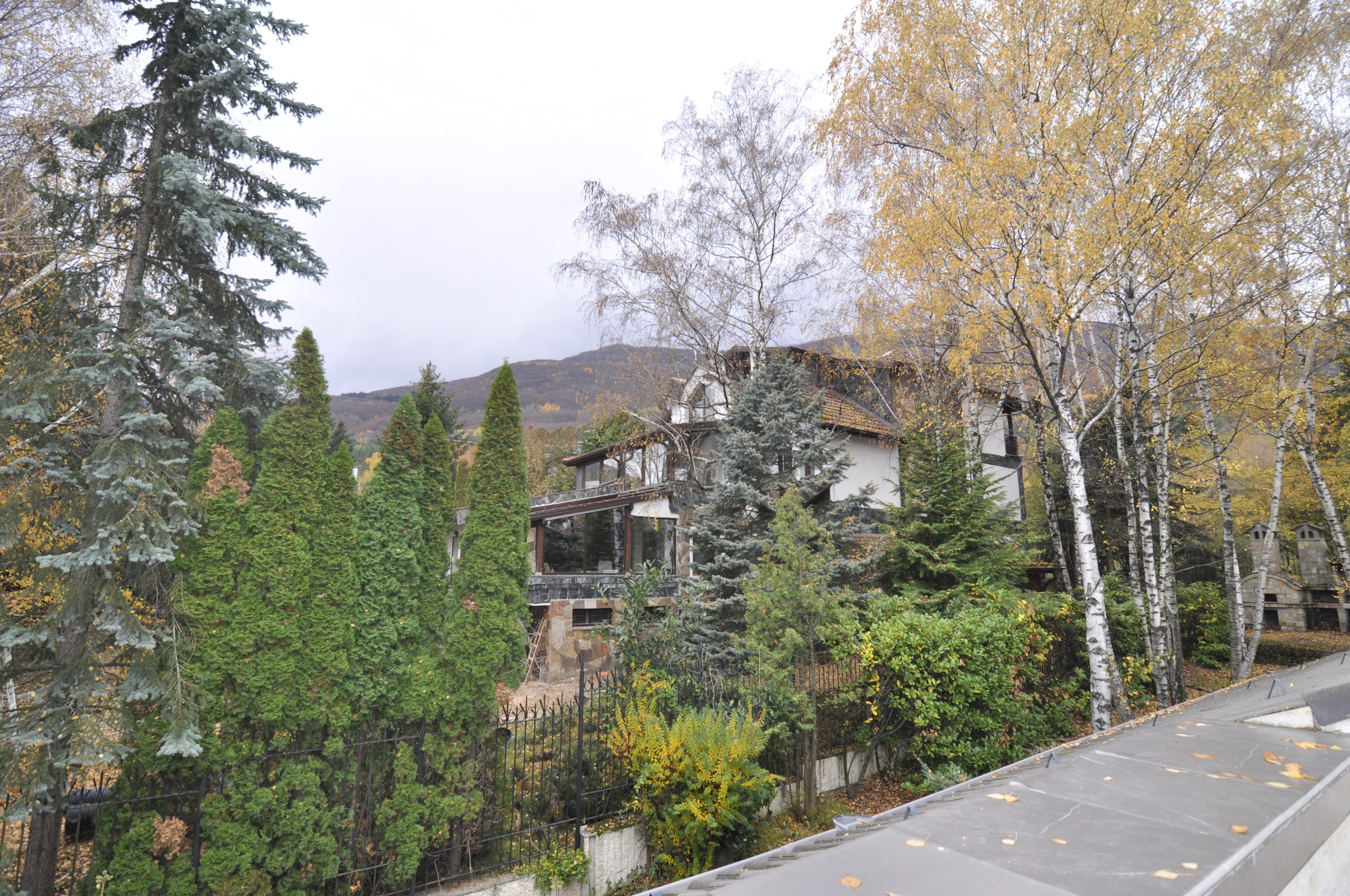 Scoutaround White Logo