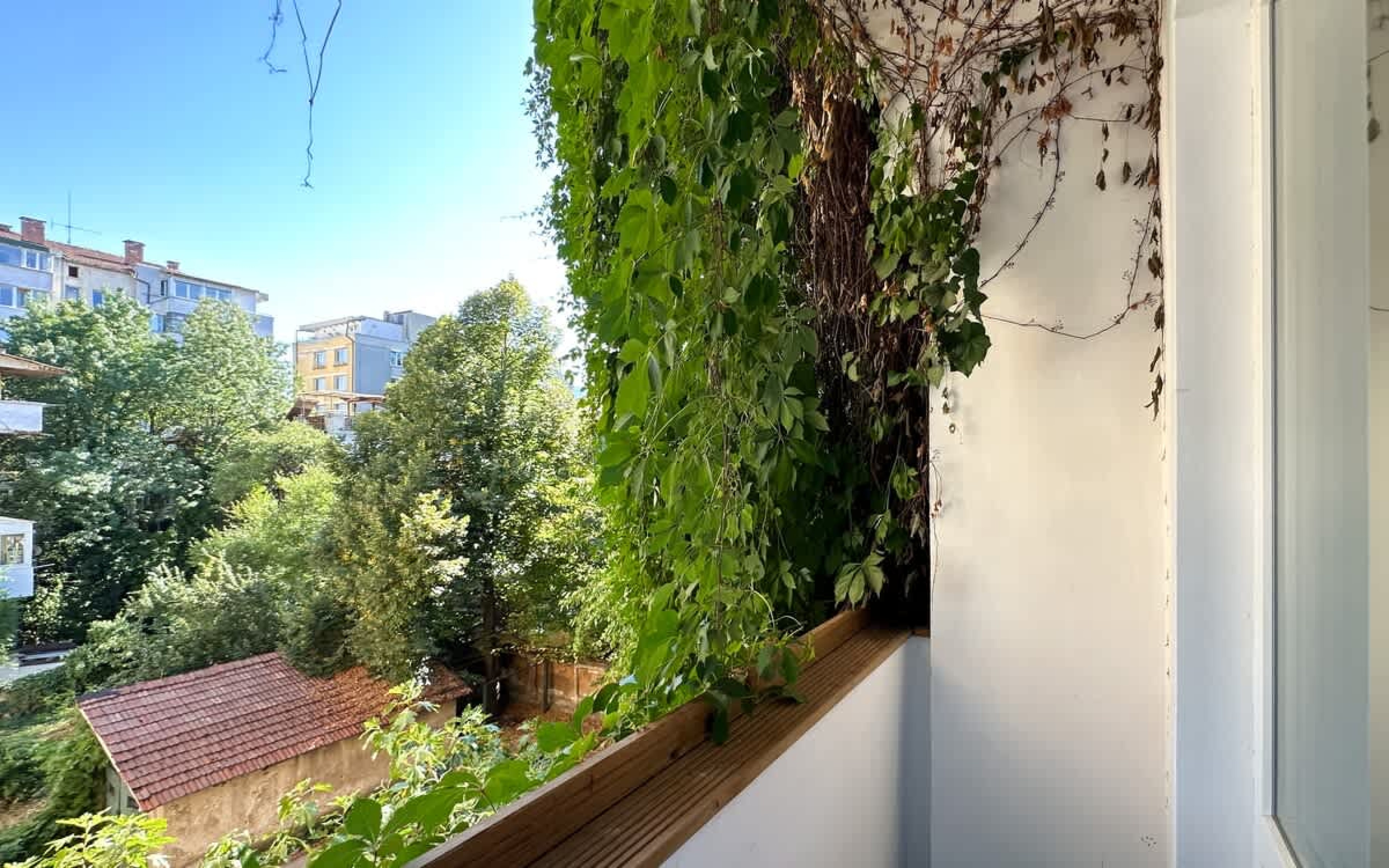 Scoutaround White Logo