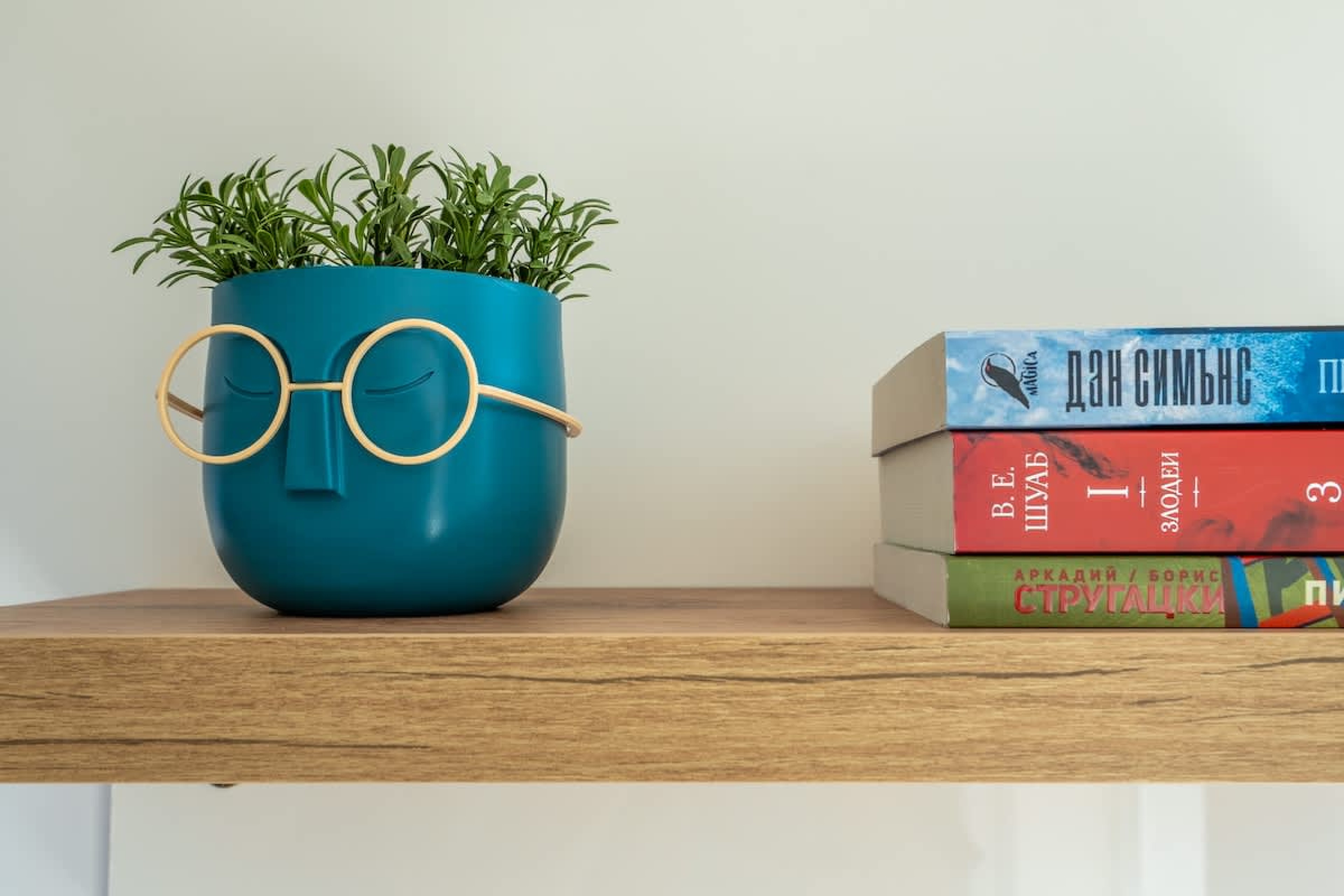 Scoutaround White Logo