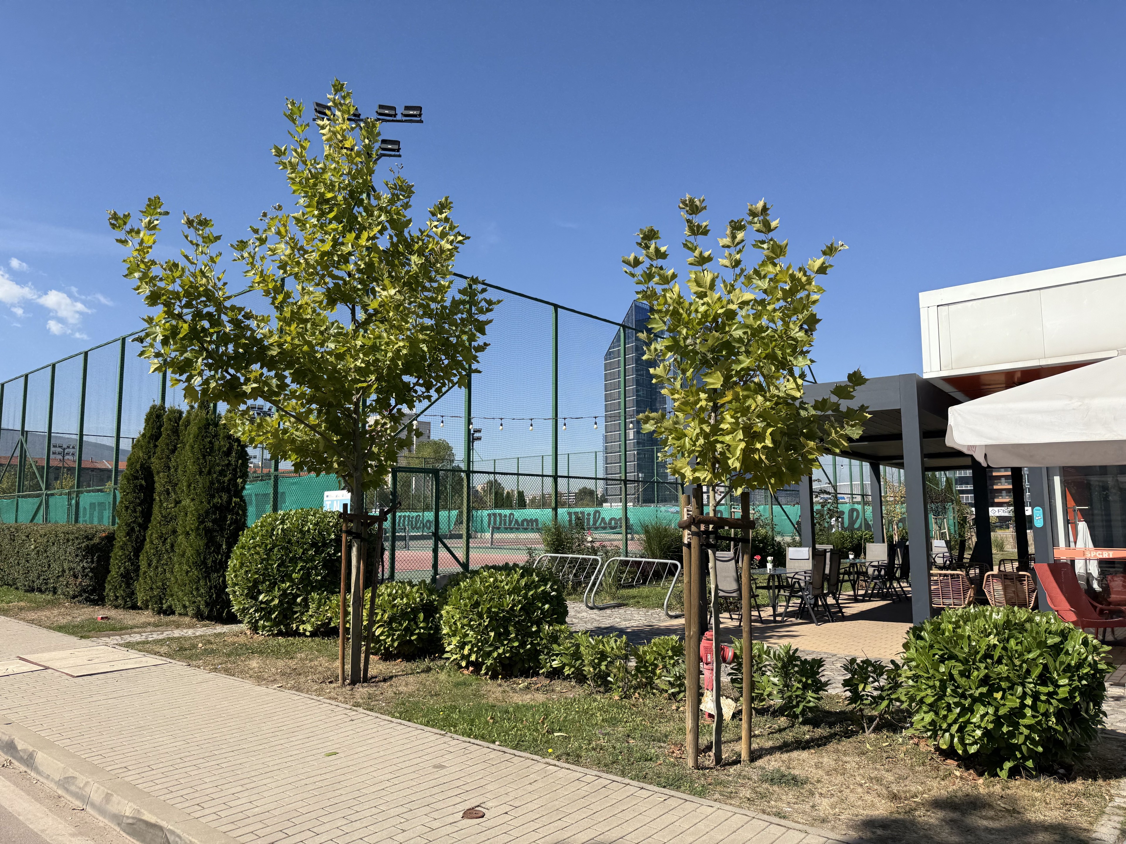 Scoutaround White Logo