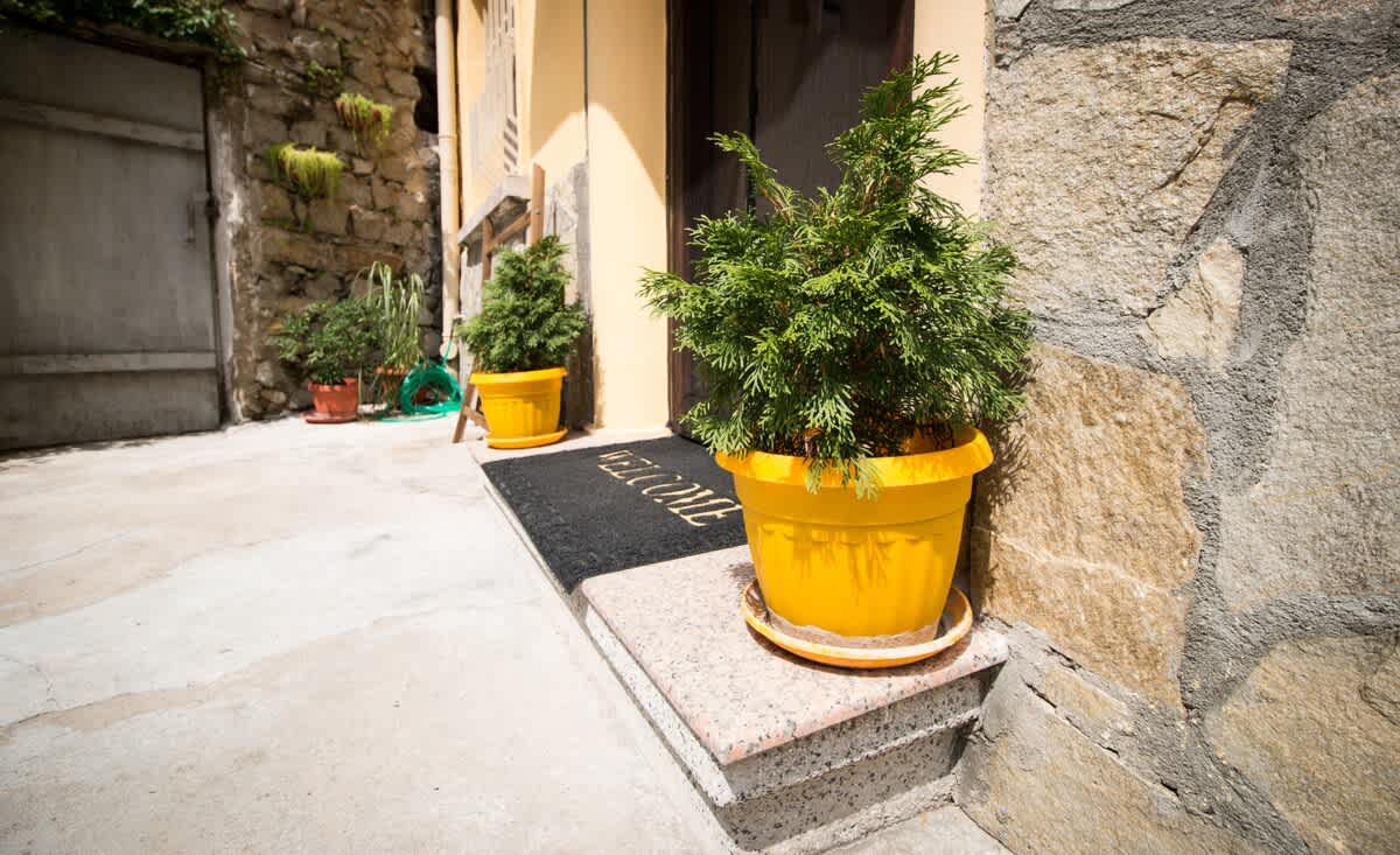 Scoutaround White Logo