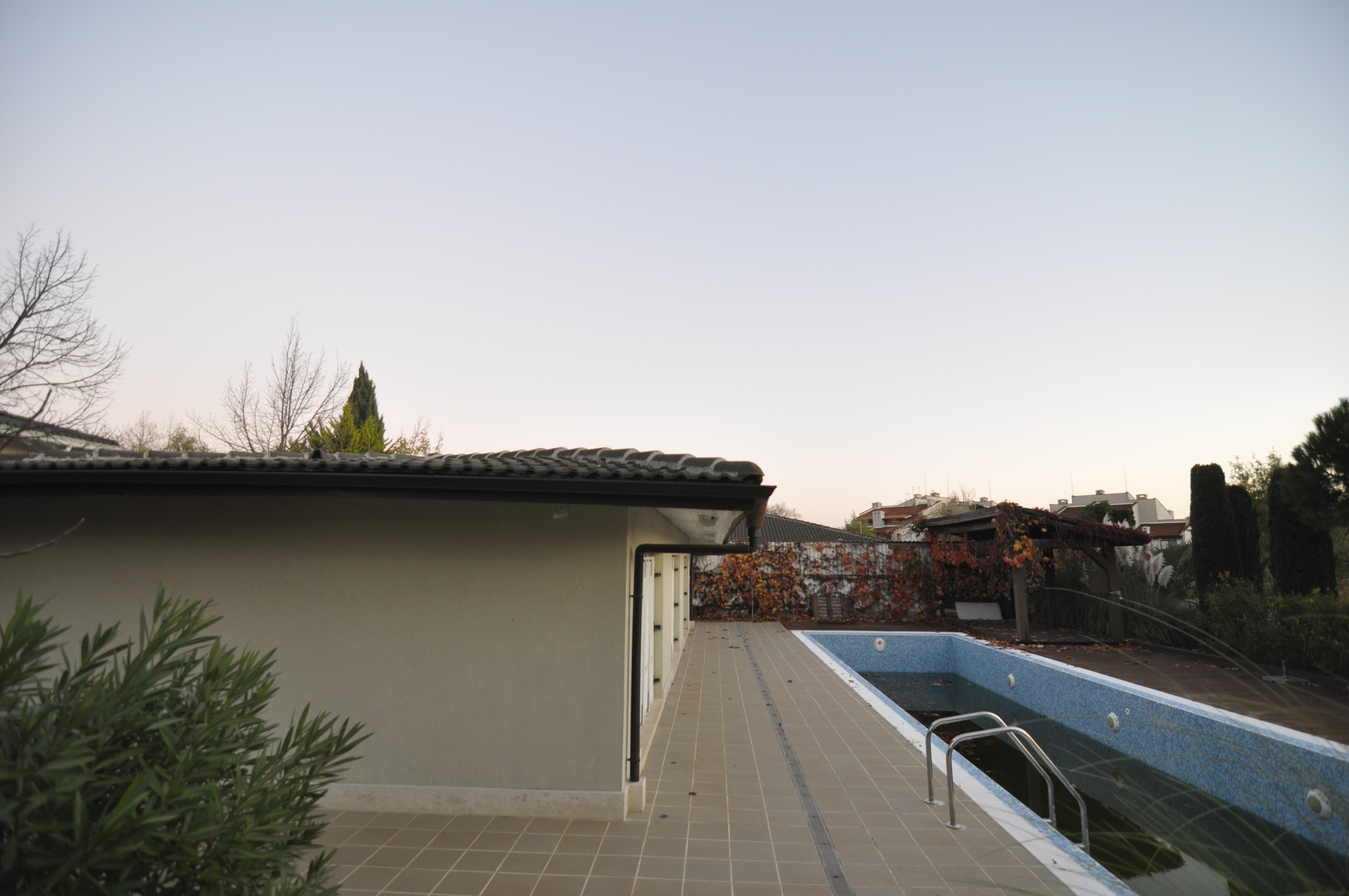 Scoutaround White Logo