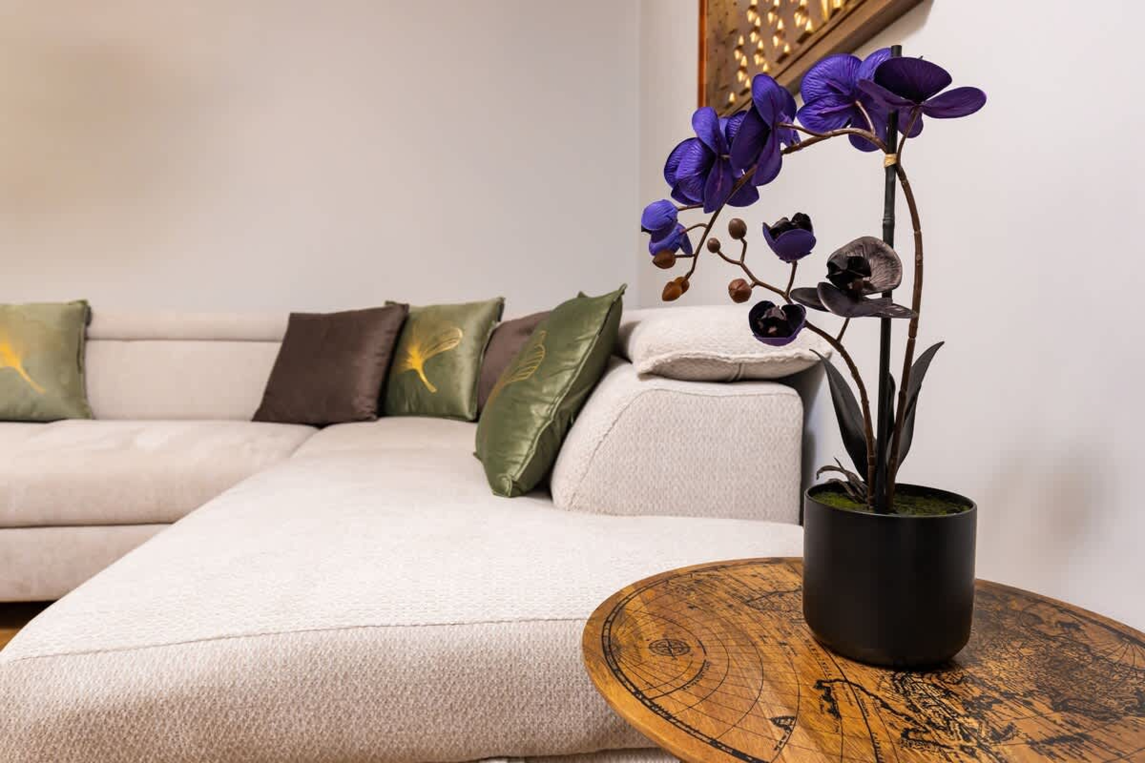 Scoutaround White Logo