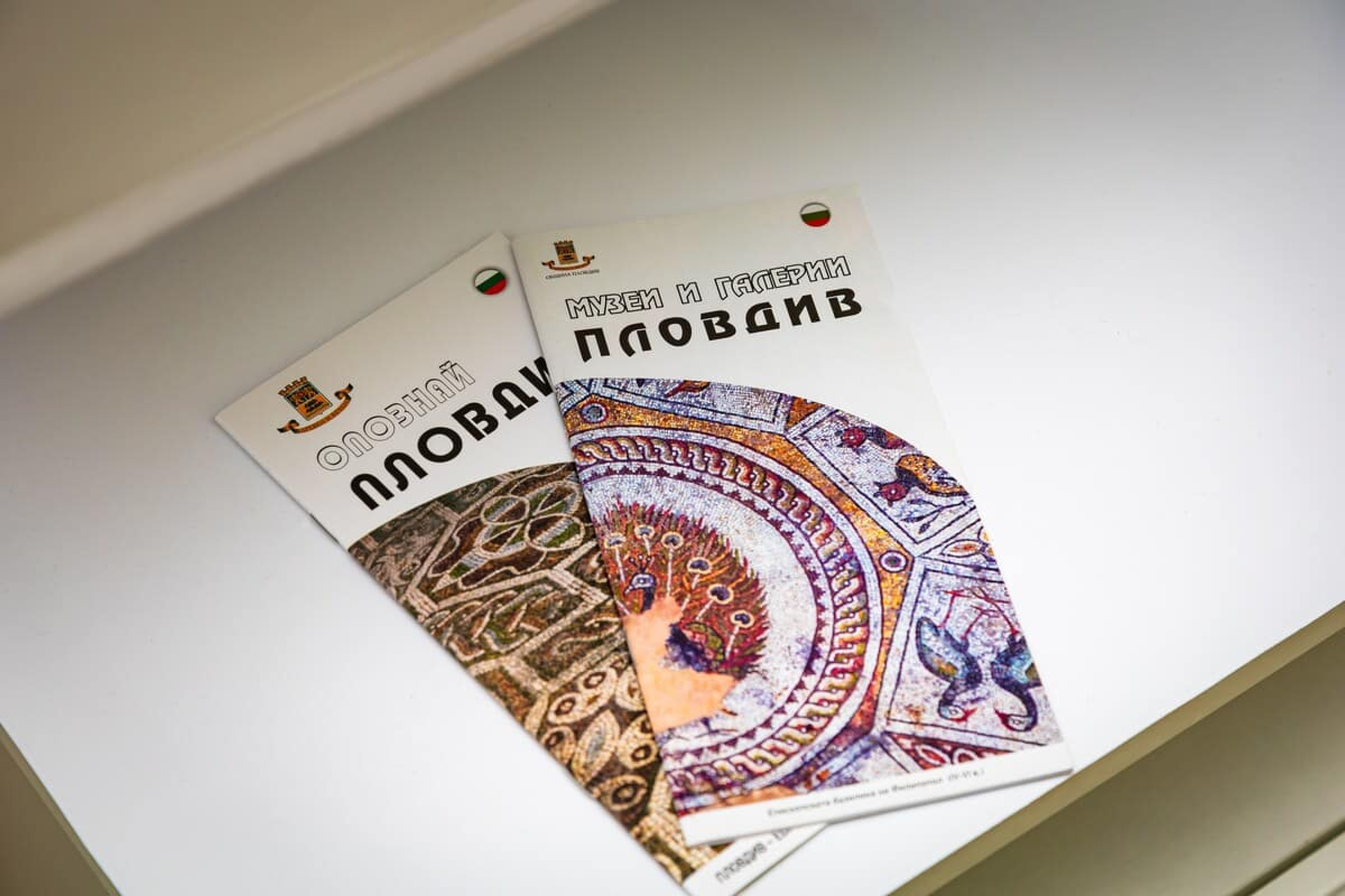 Scoutaround White Logo