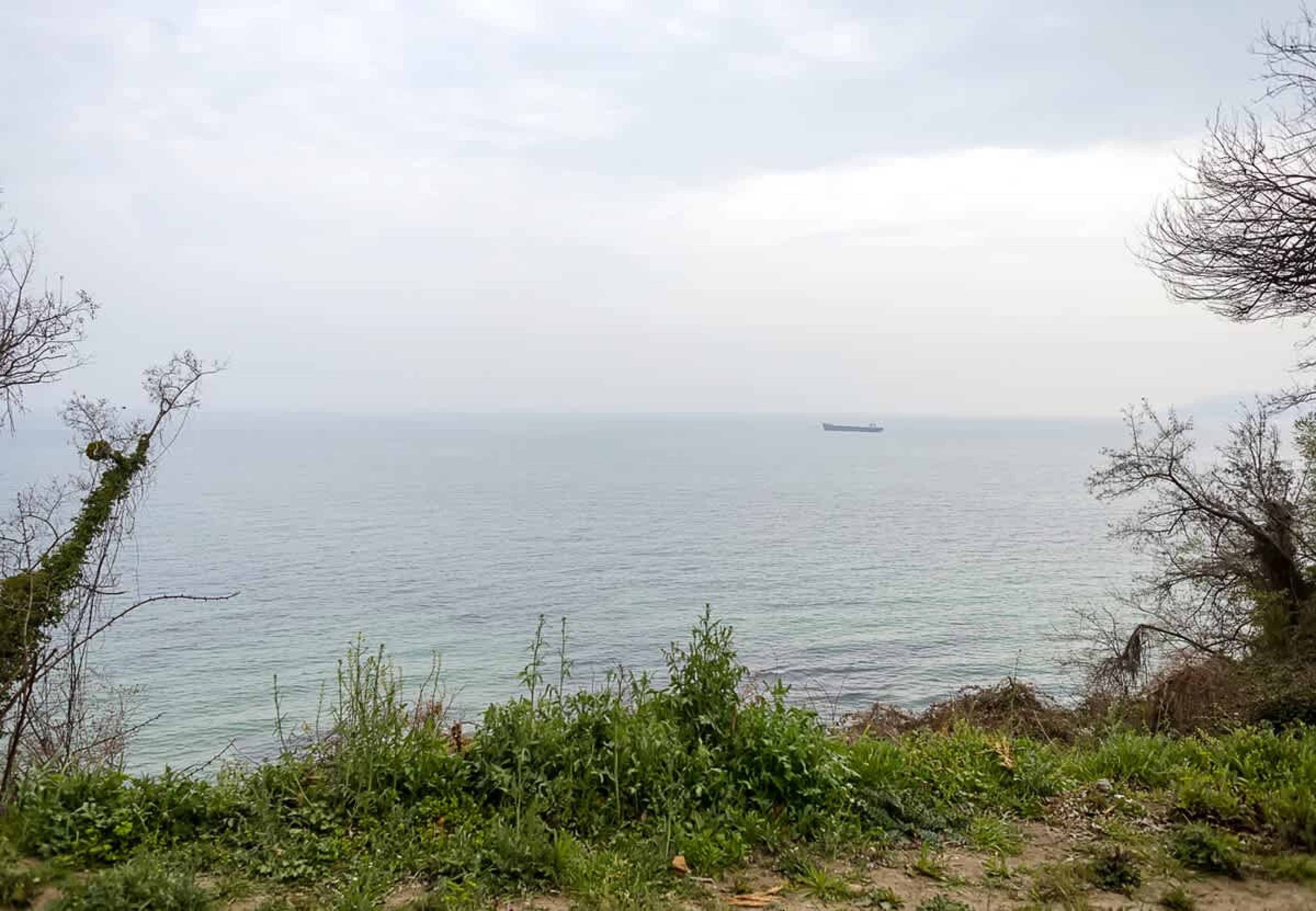 Scoutaround White Logo