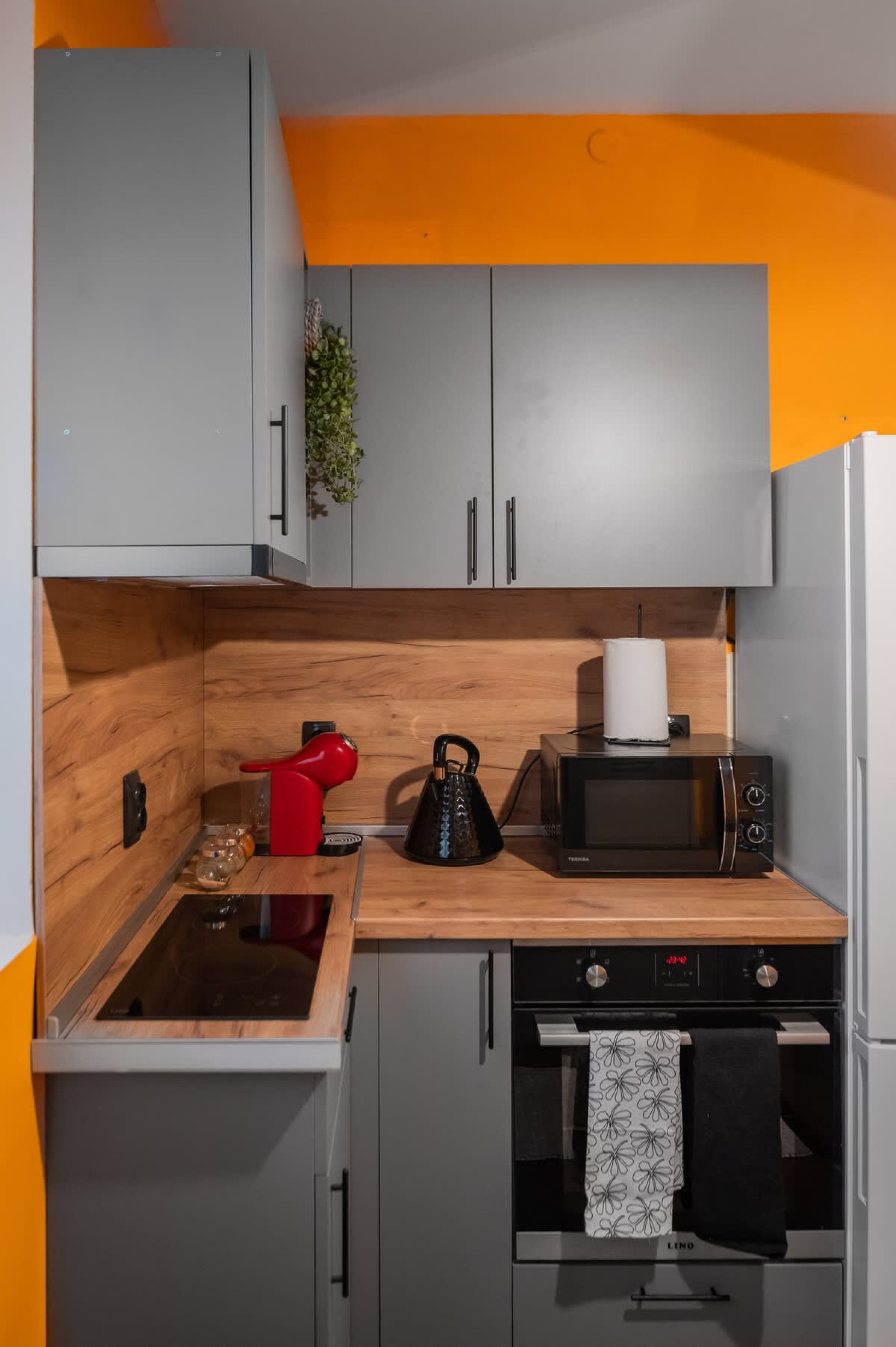 Scoutaround White Logo