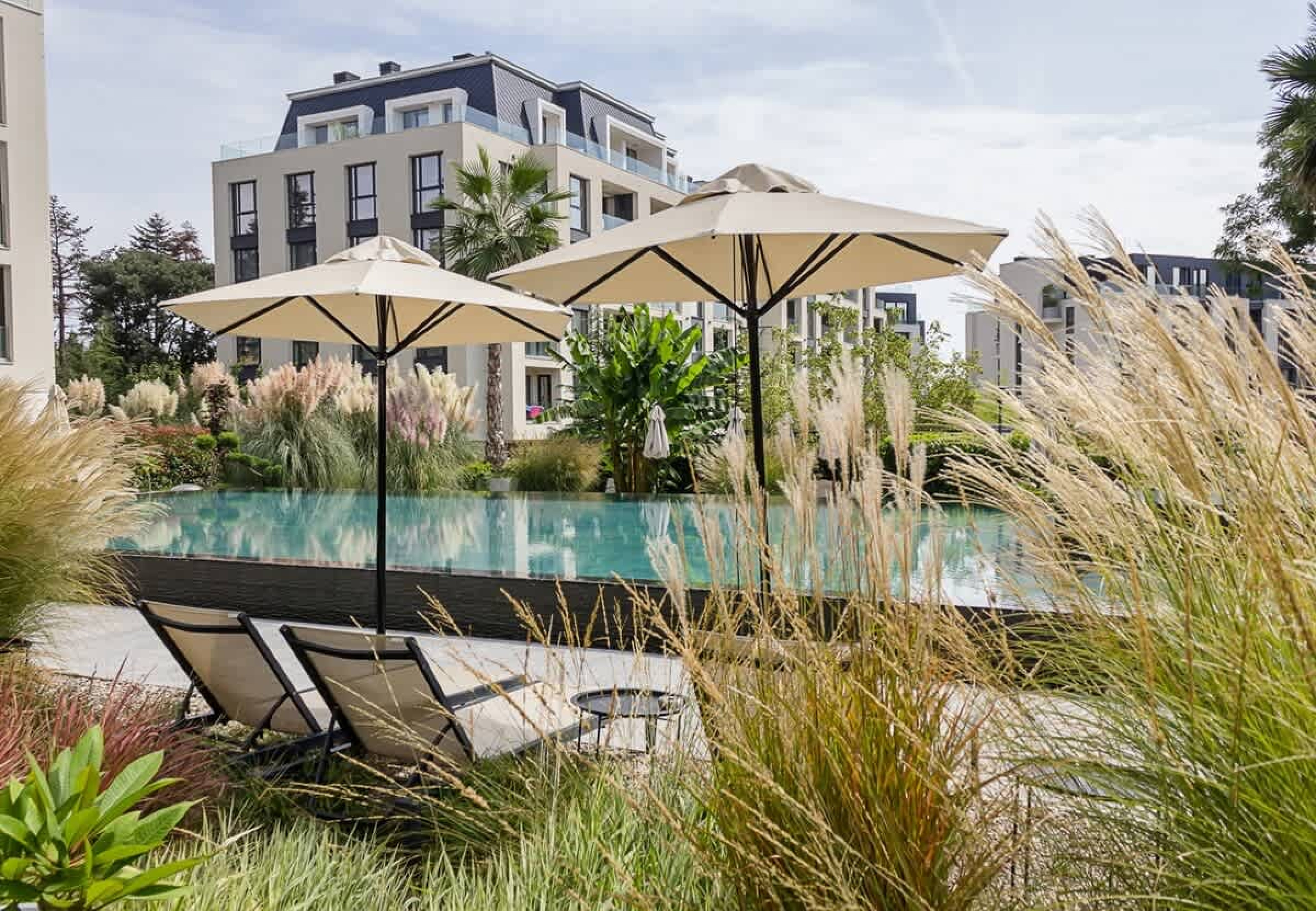 Scoutaround White Logo