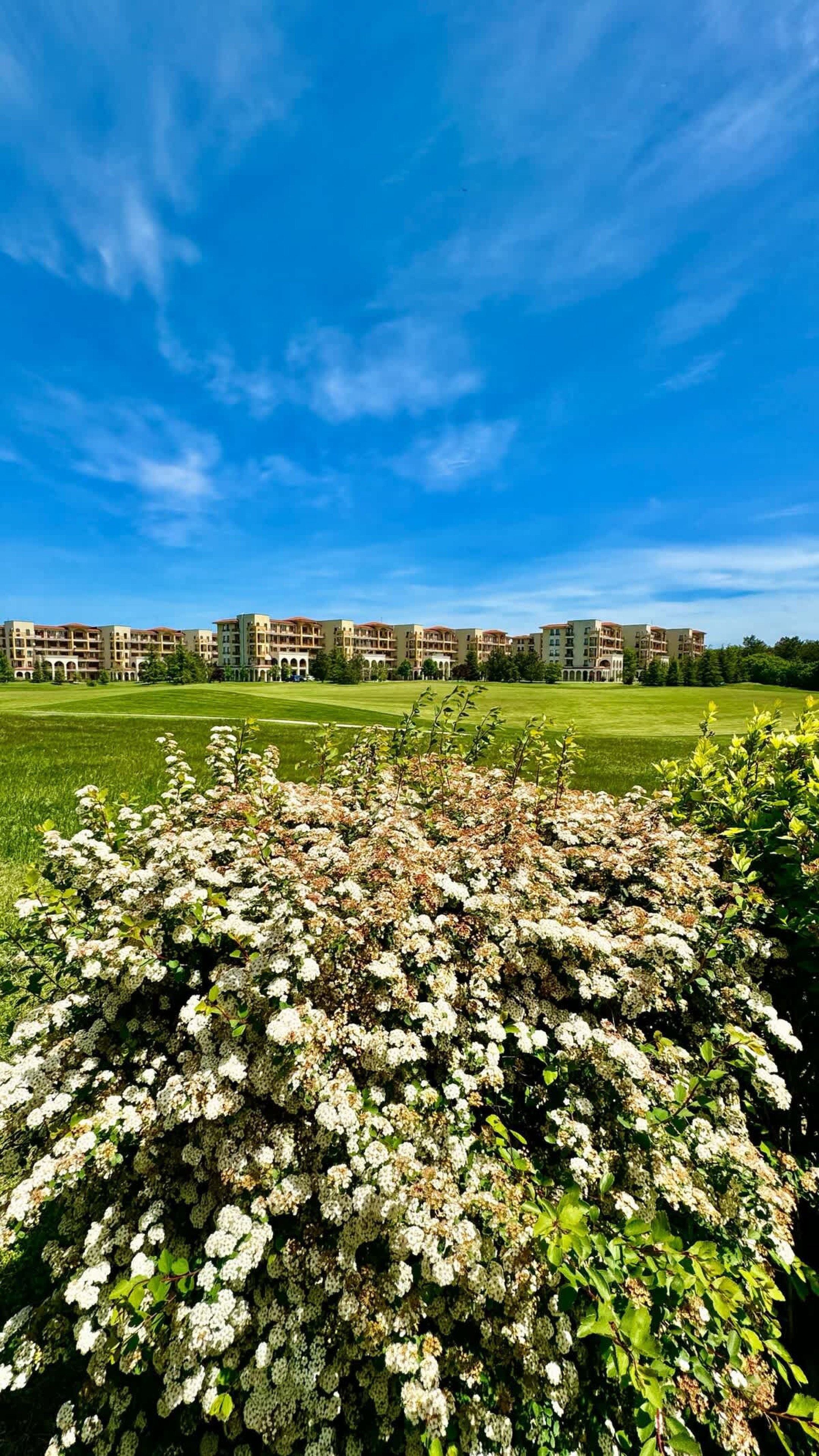 Scoutaround White Logo