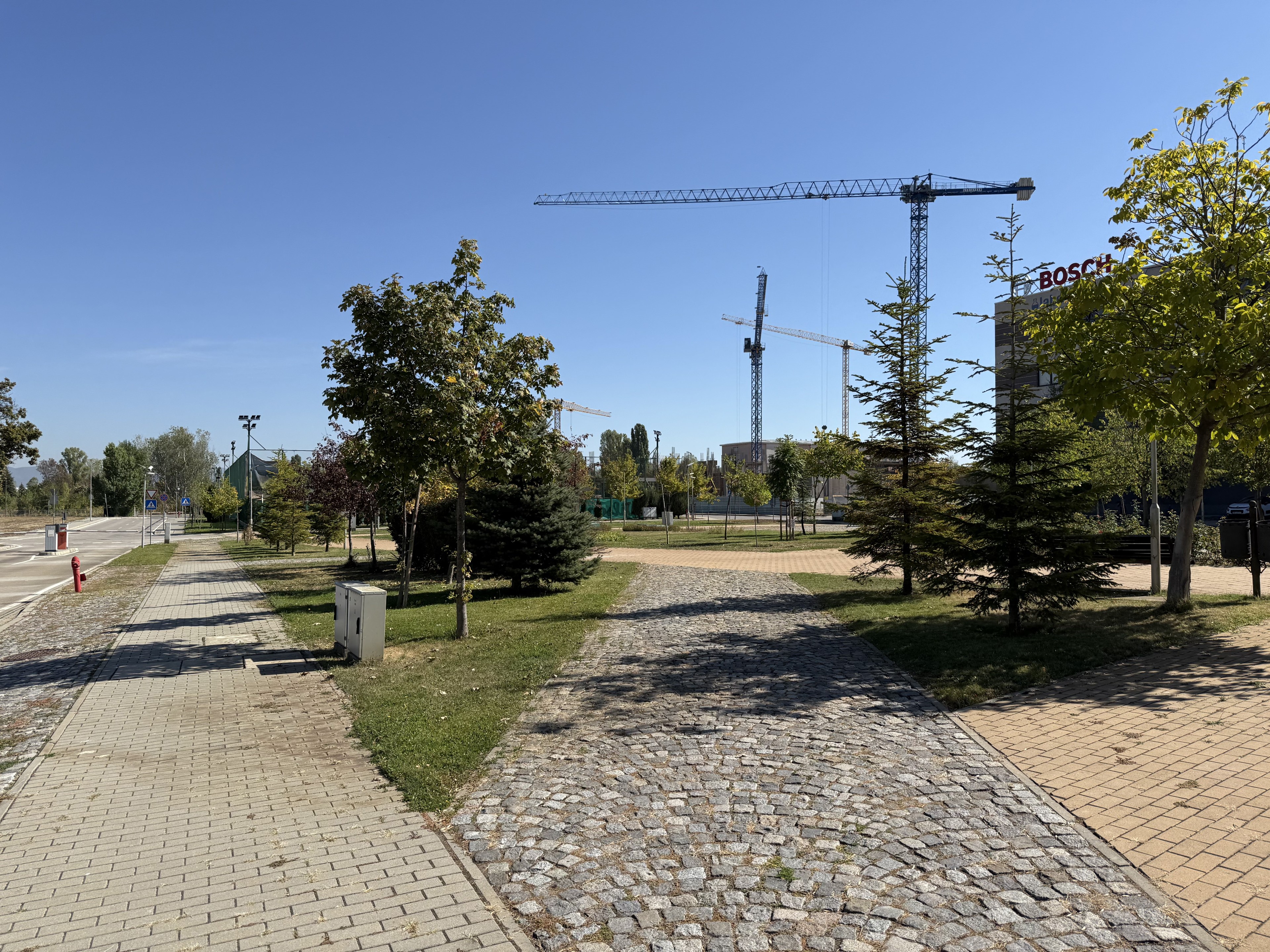 Scoutaround White Logo