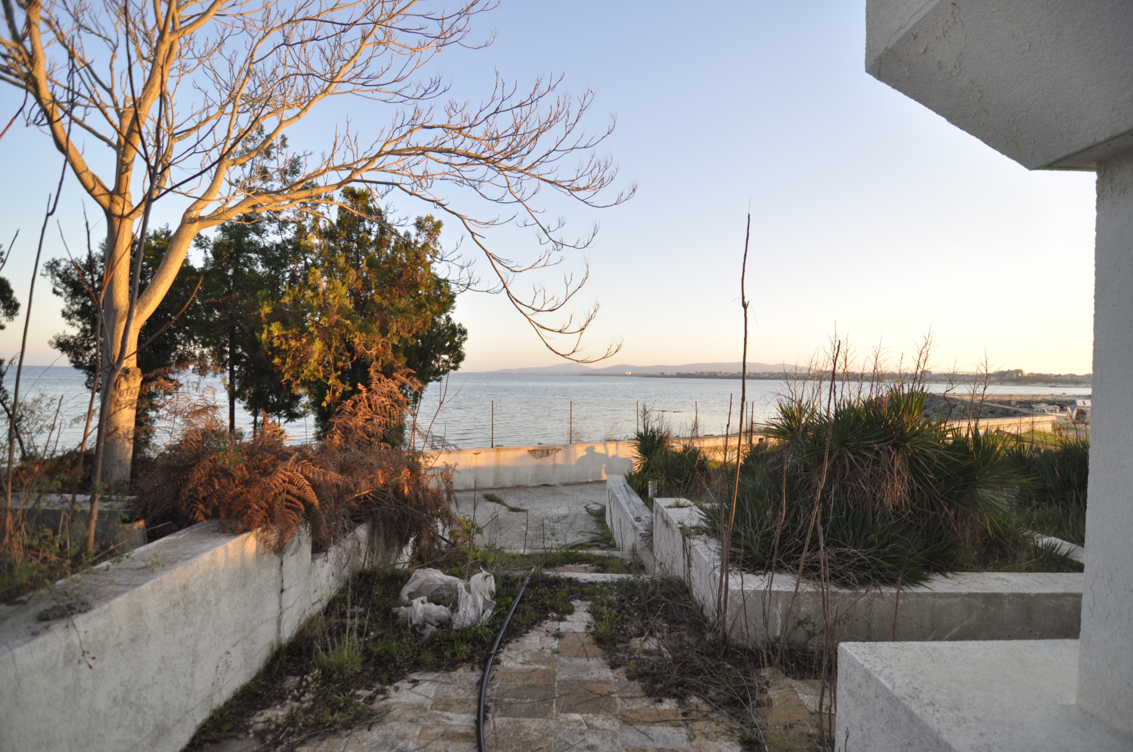 Scoutaround White Logo