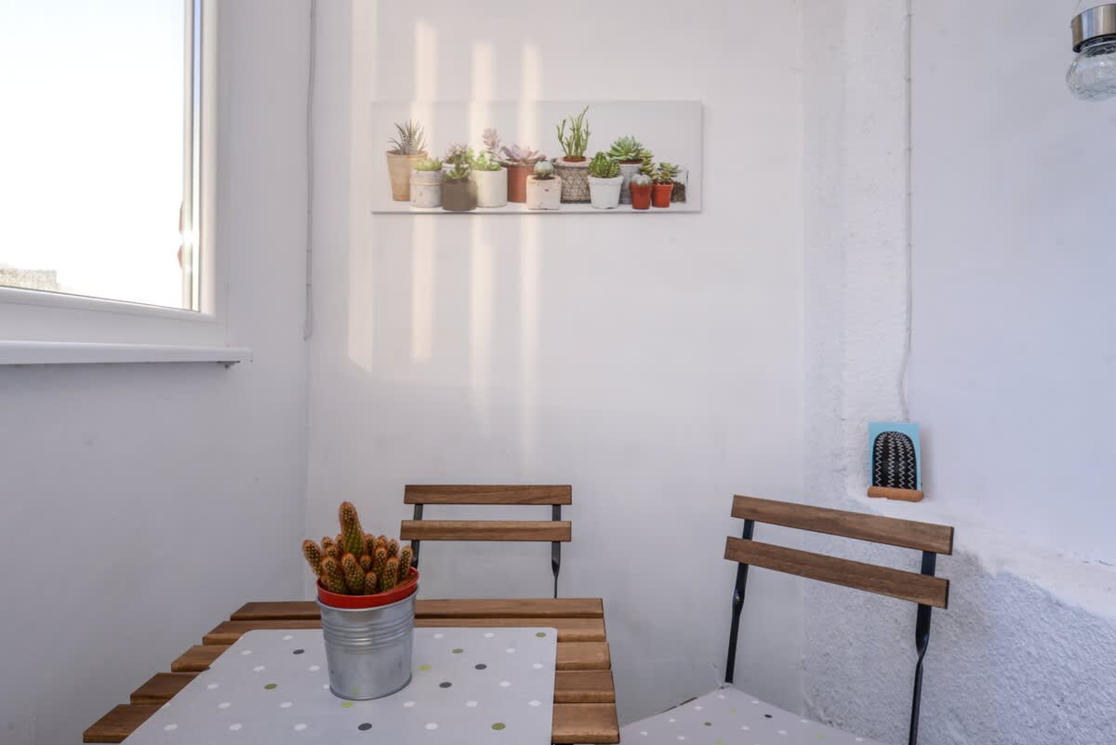 Scoutaround White Logo