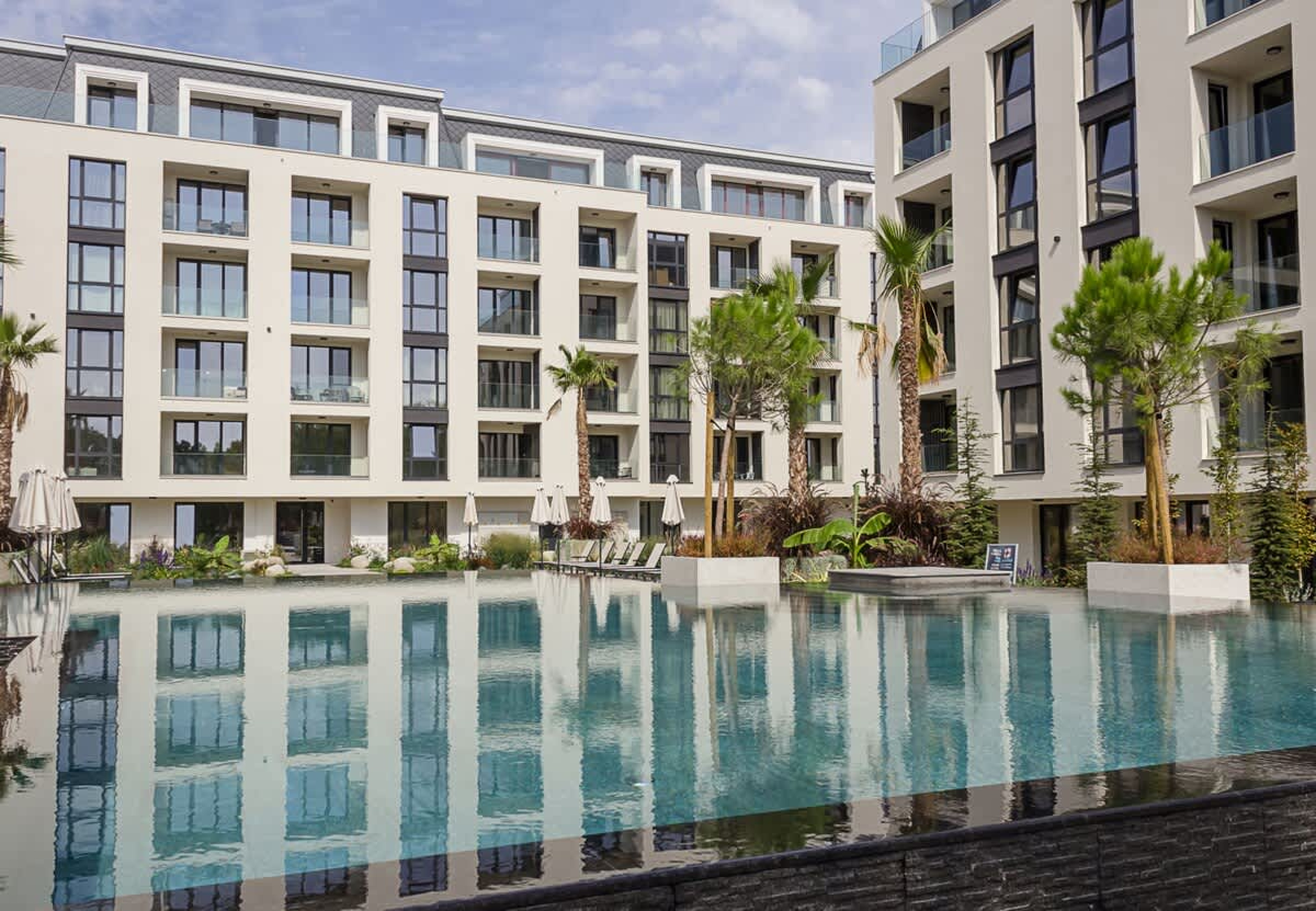 Scoutaround White Logo