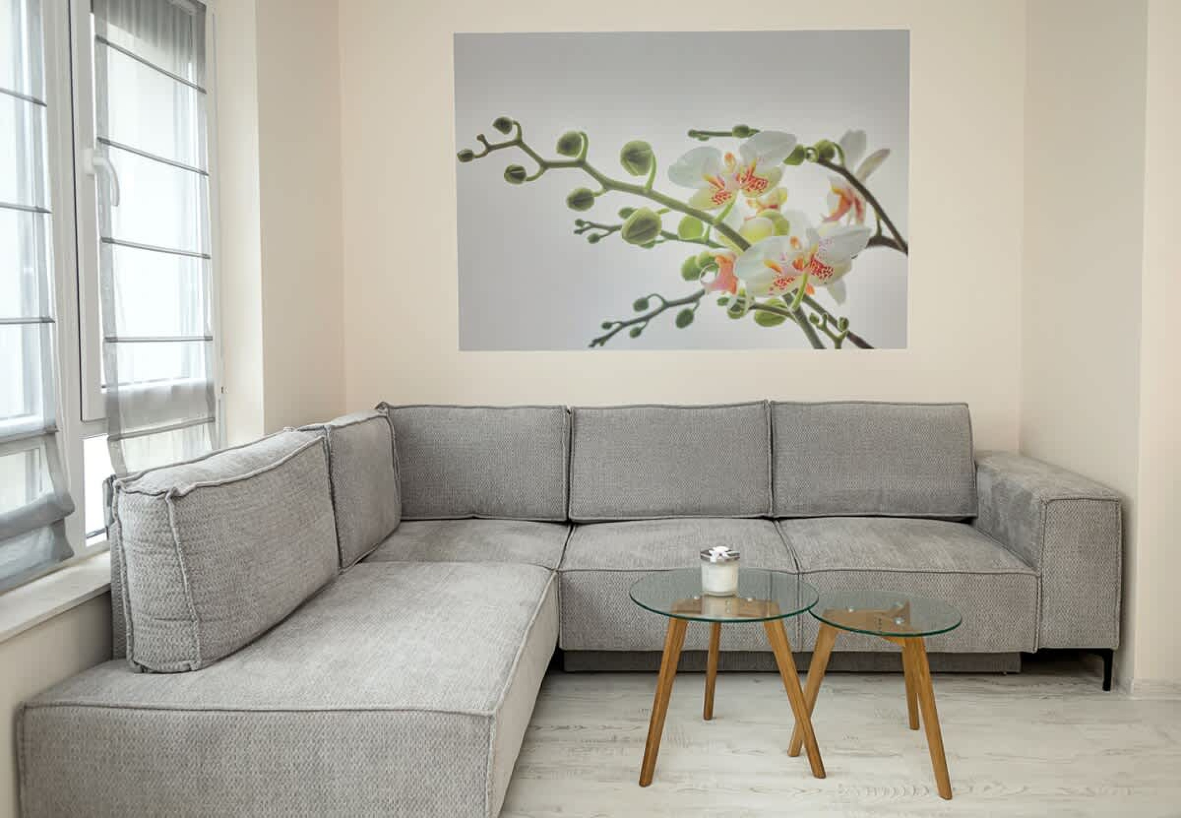 Scoutaround White Logo