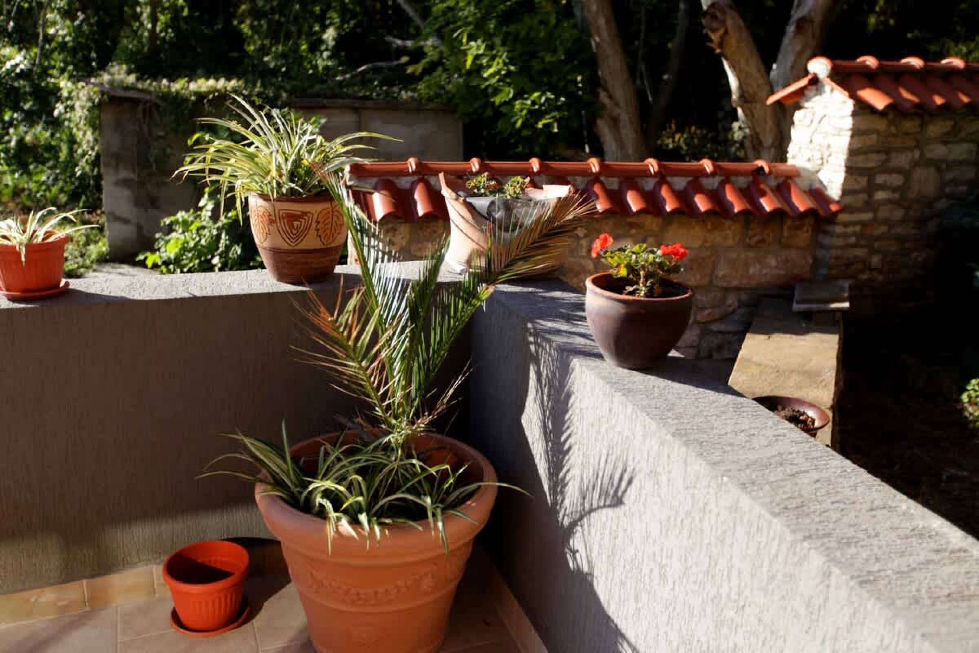 Scoutaround White Logo