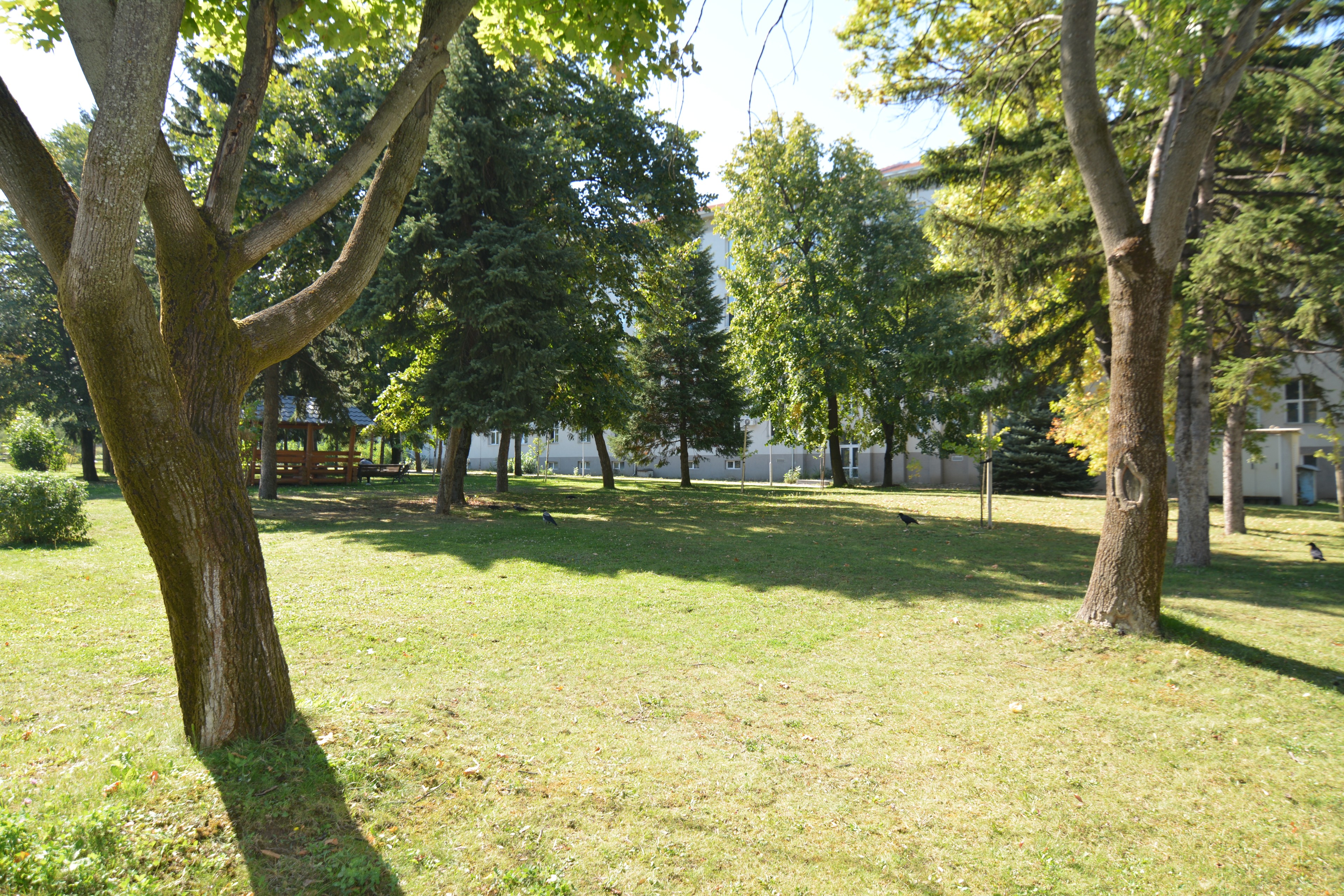 Scoutaround White Logo