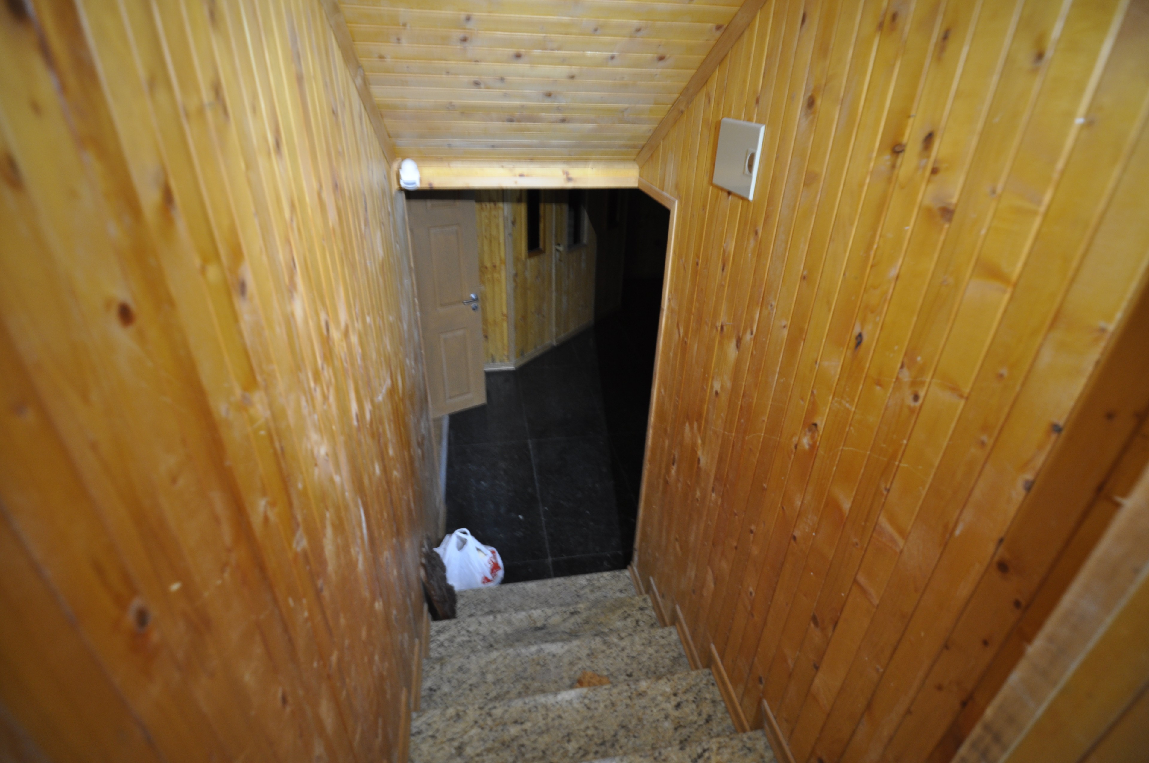 Scoutaround White Logo