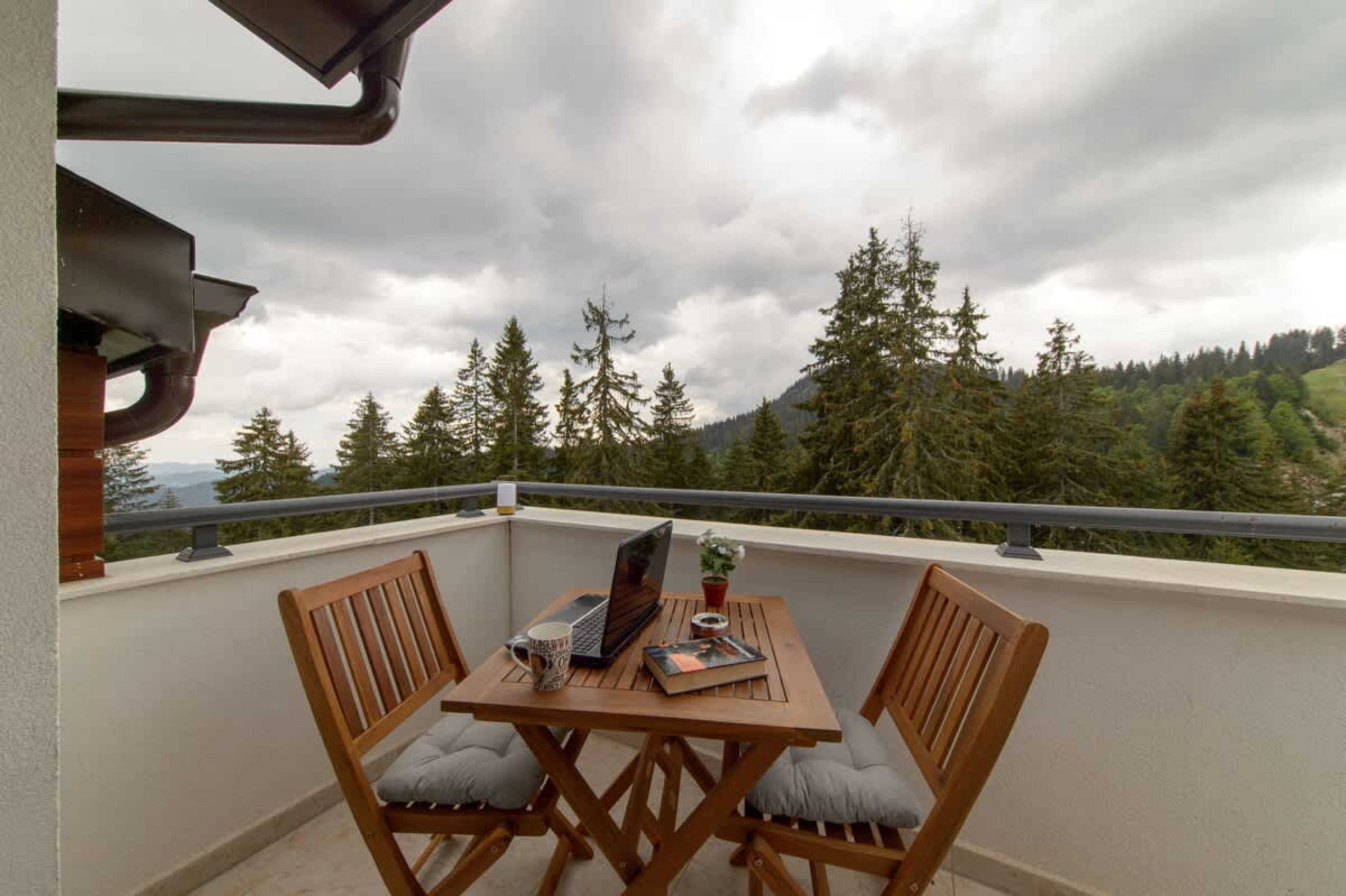 Scoutaround White Logo