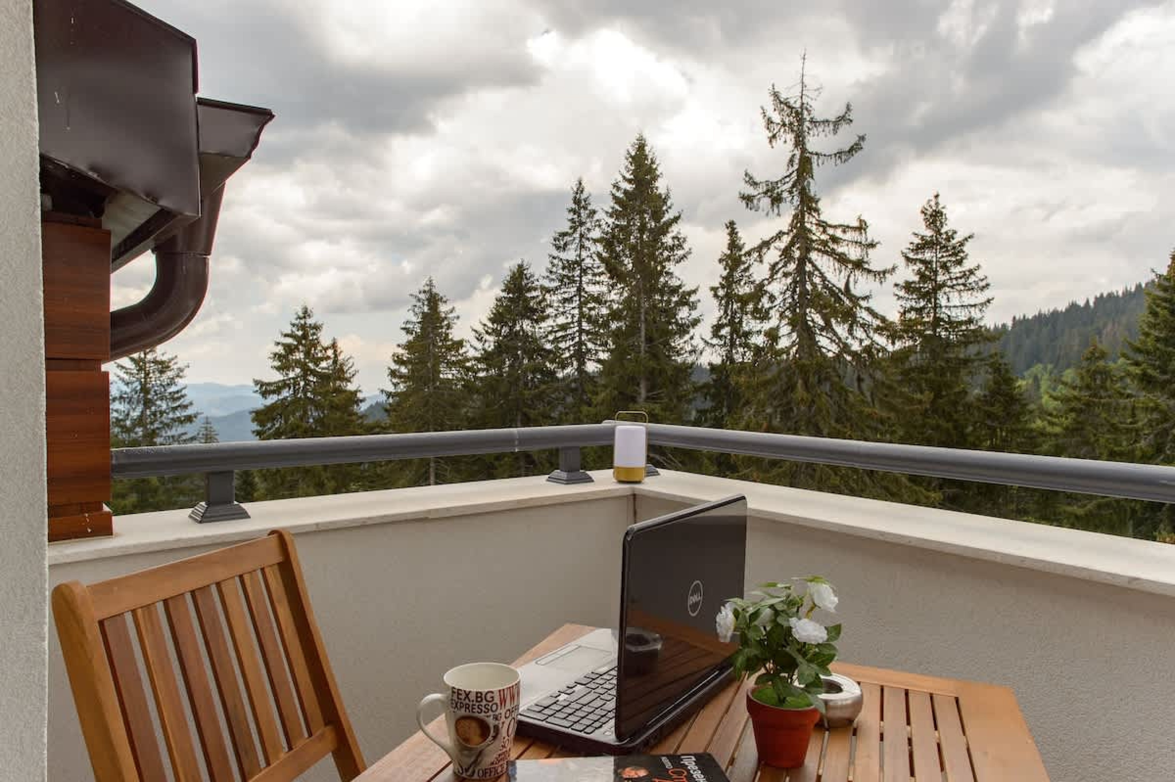 Scoutaround White Logo