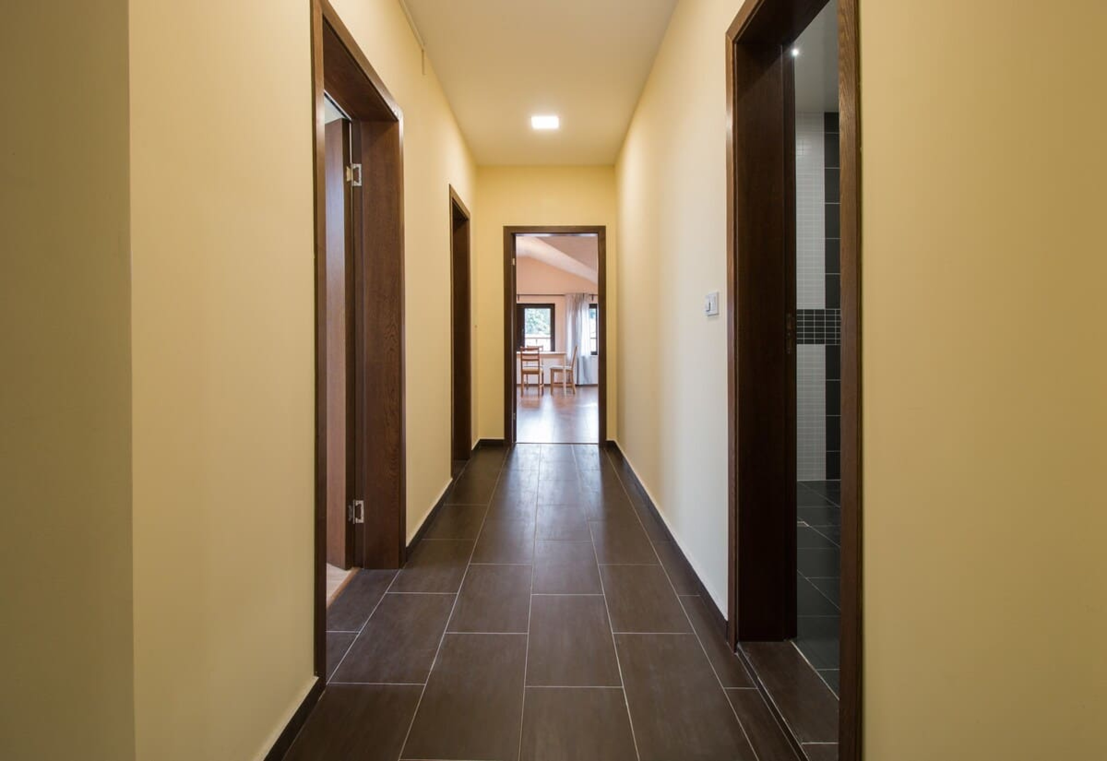 Scoutaround White Logo