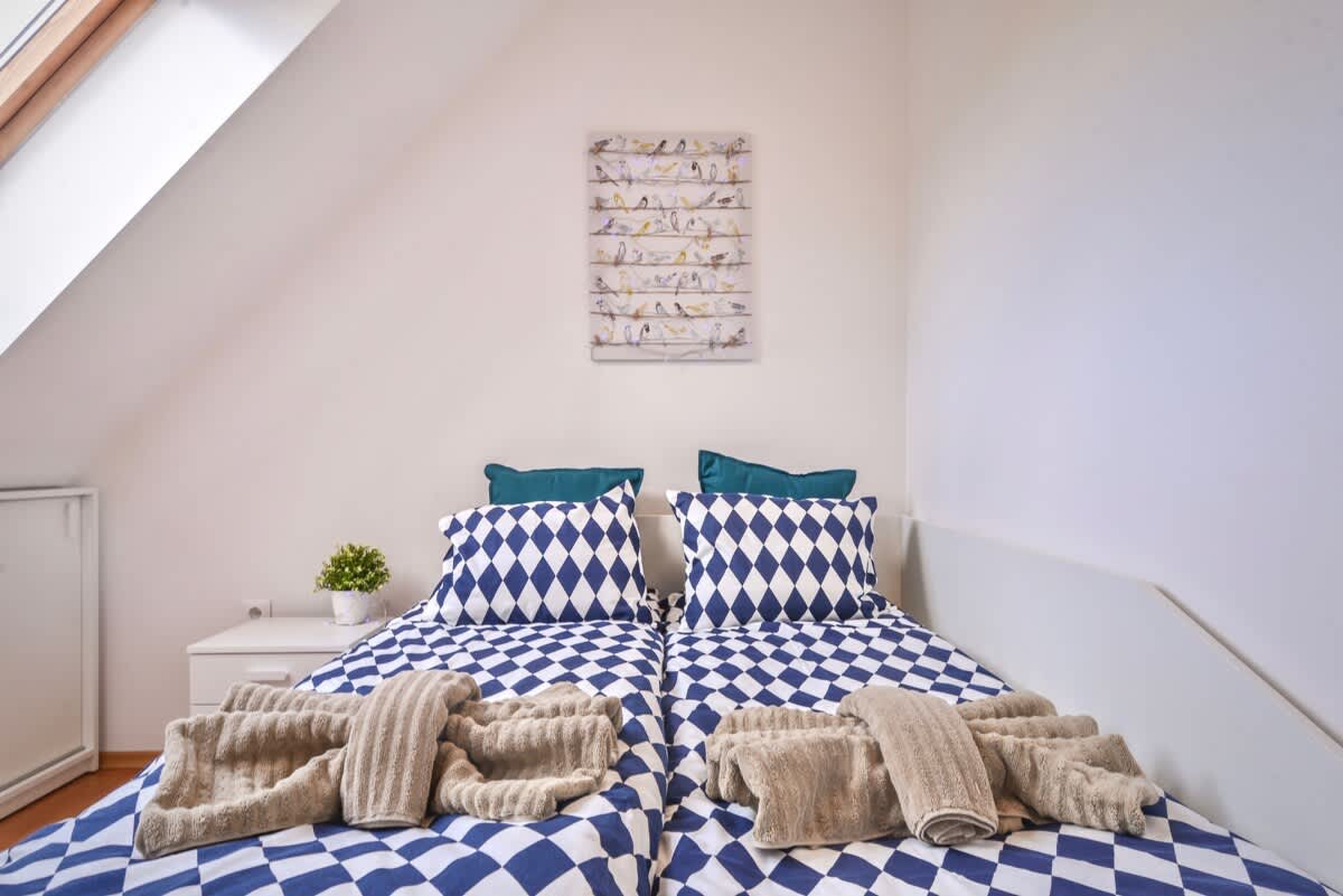 Scoutaround White Logo