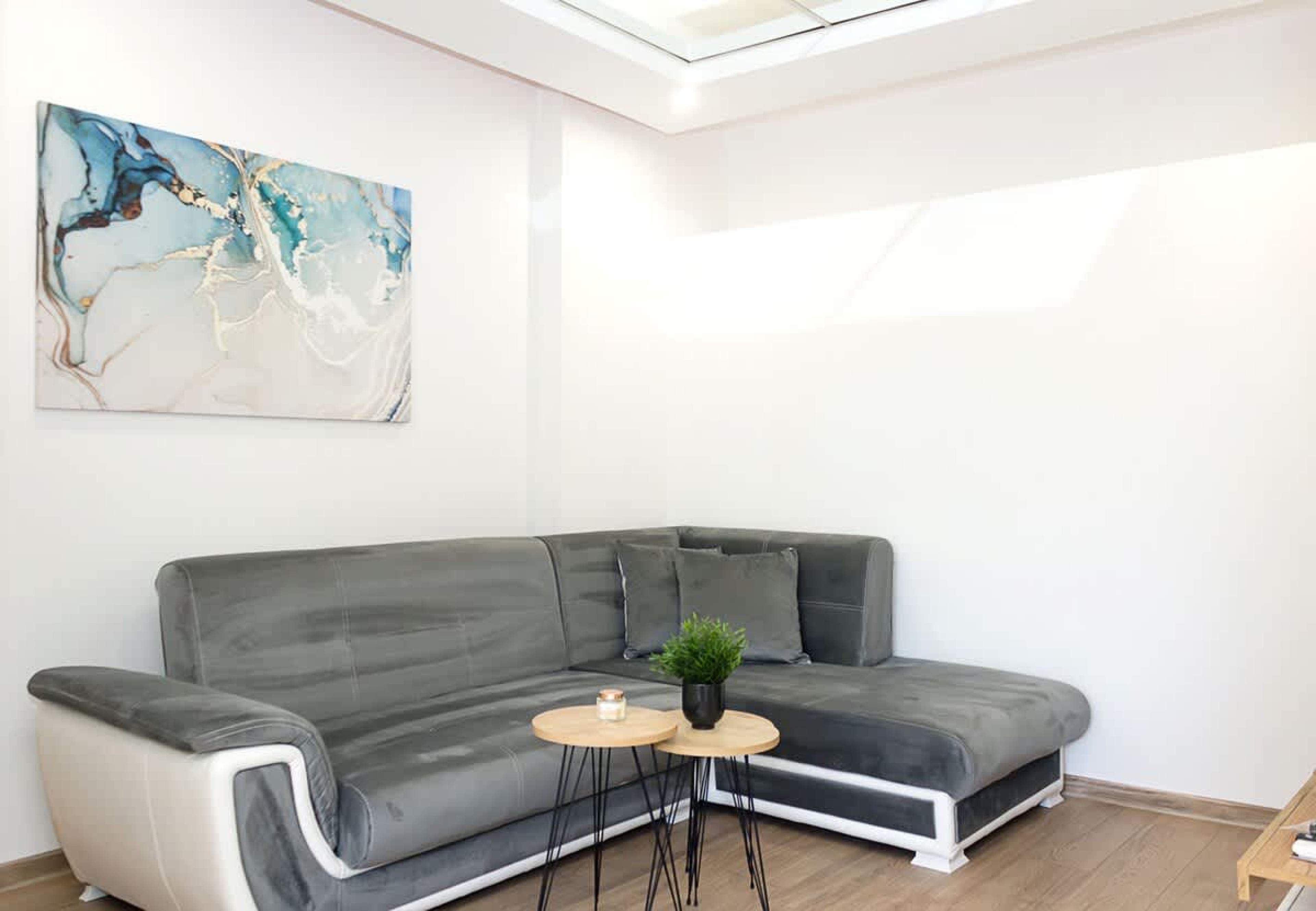 Scoutaround White Logo