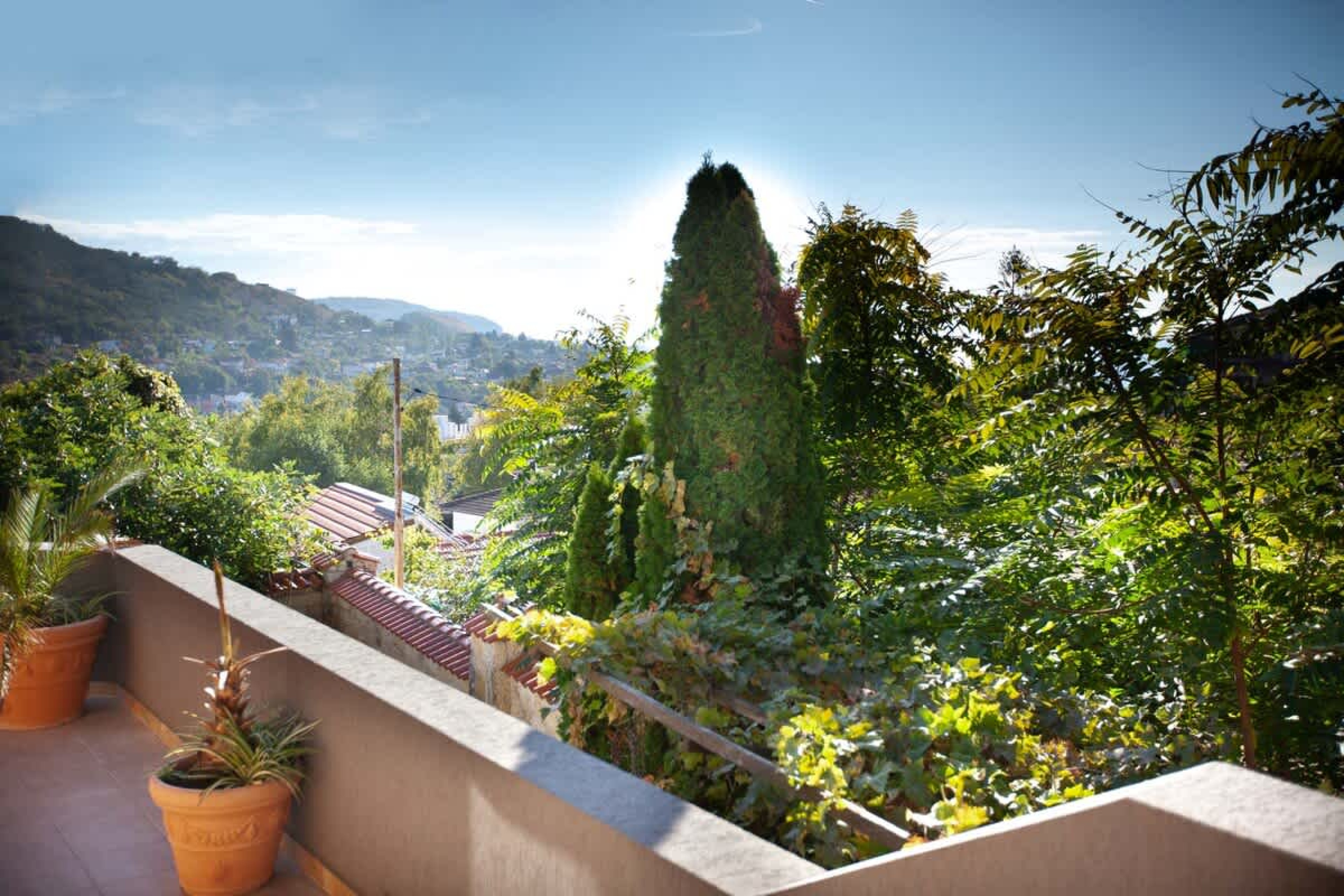 Scoutaround White Logo