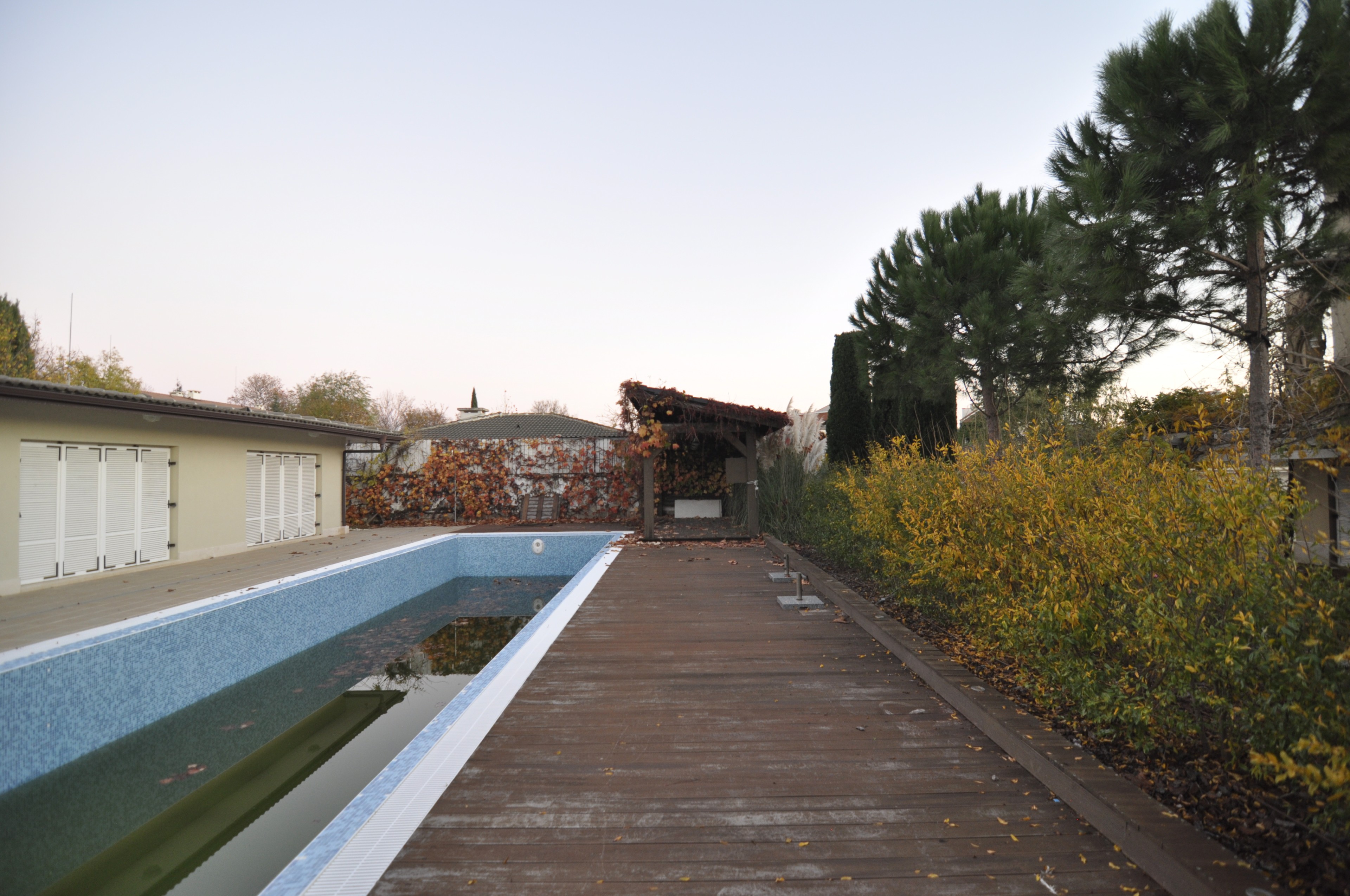 Scoutaround White Logo