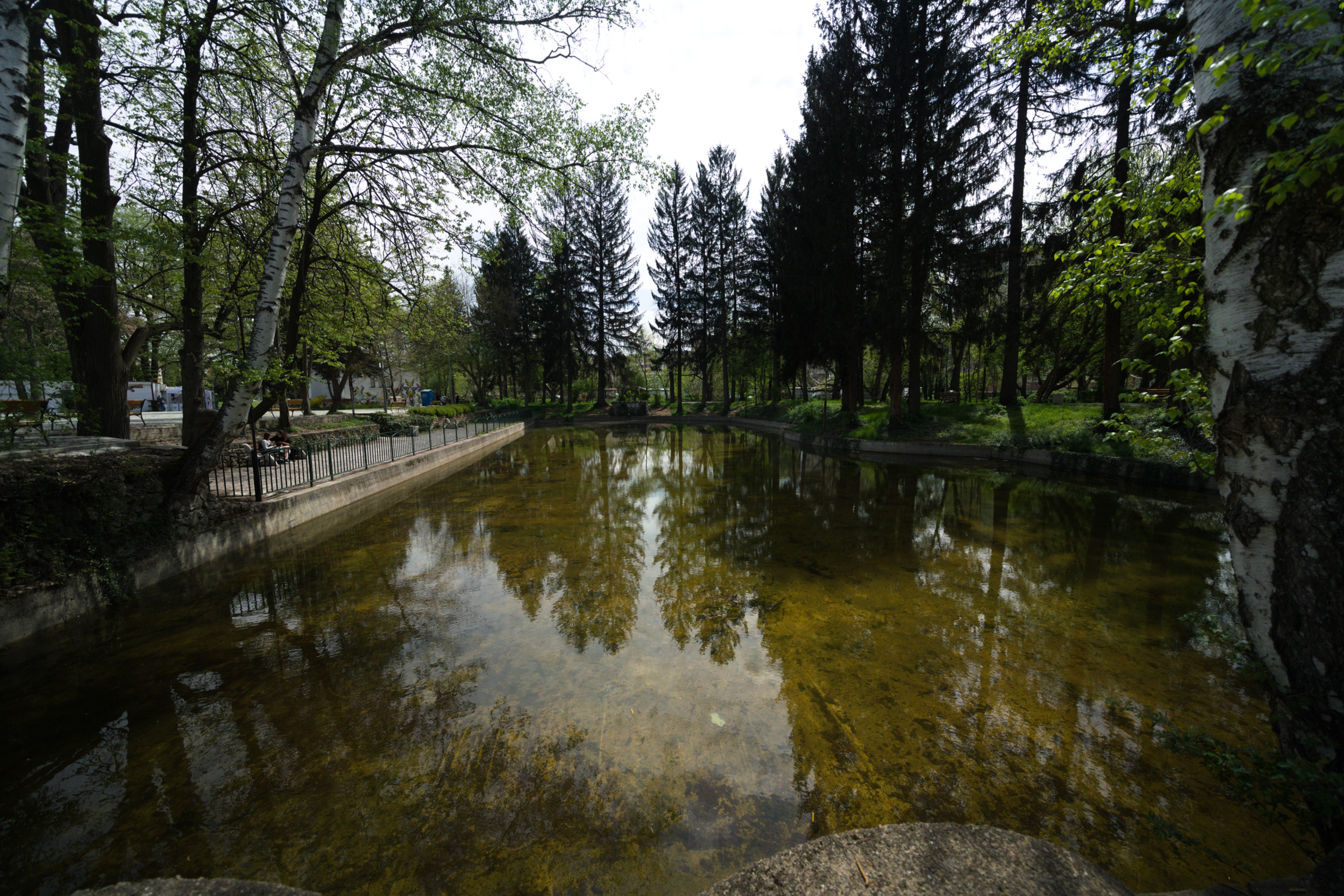 Pond