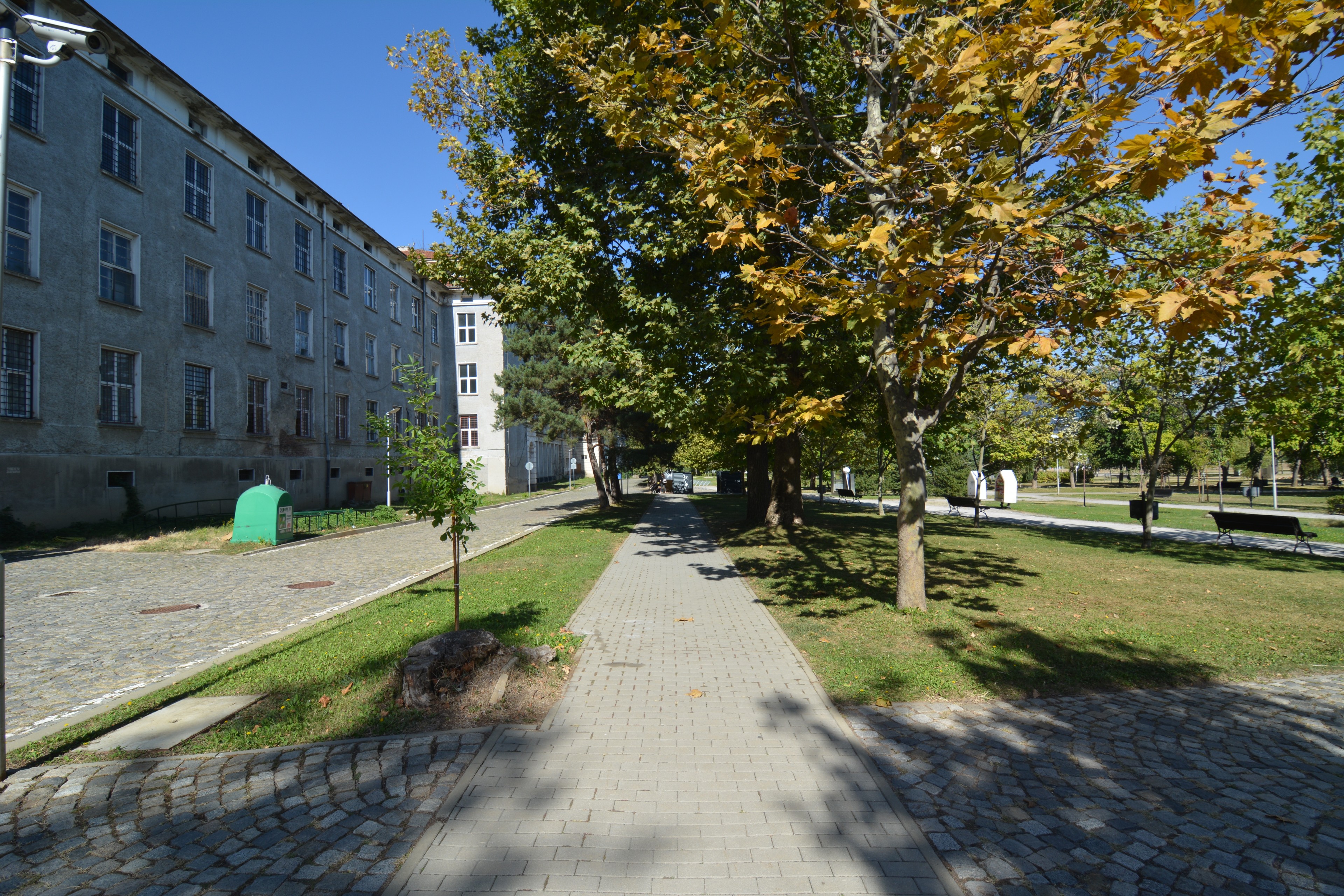 Scoutaround White Logo