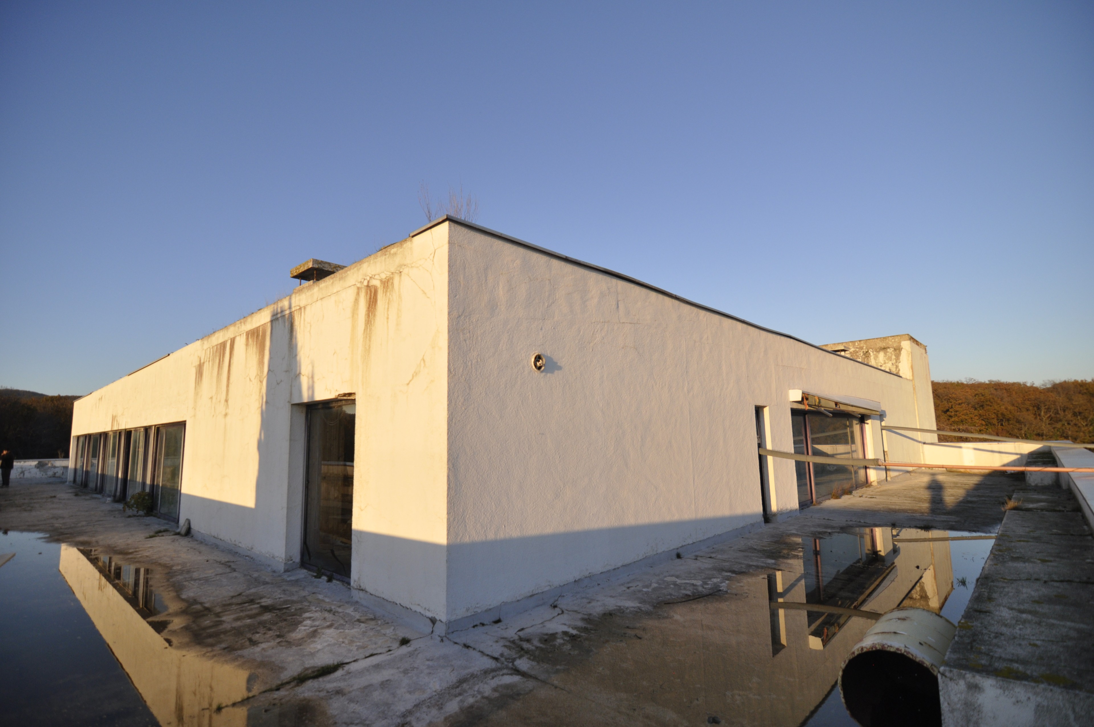 Scoutaround White Logo