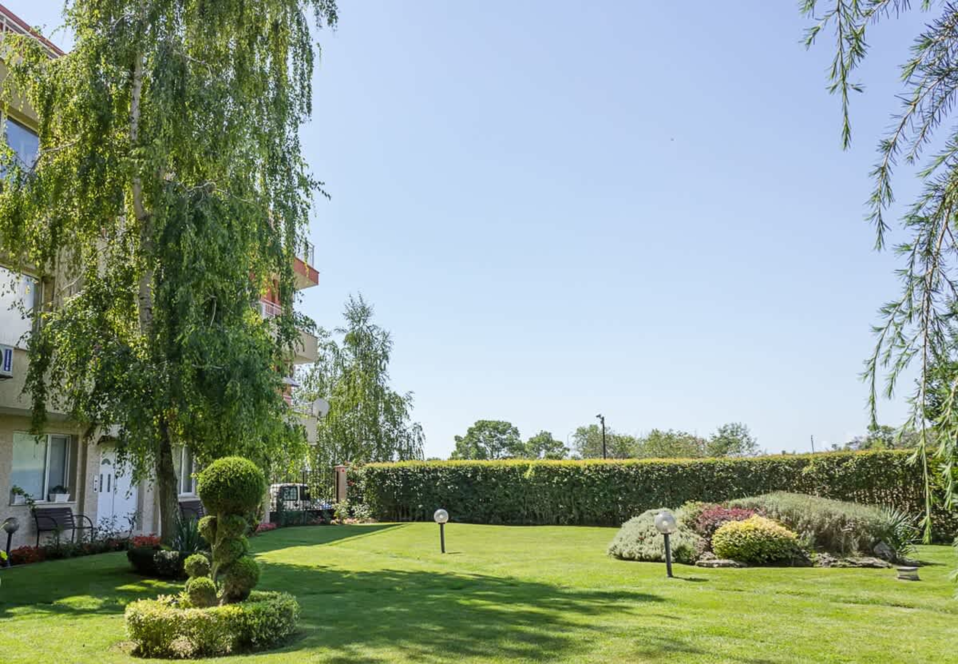 Scoutaround White Logo