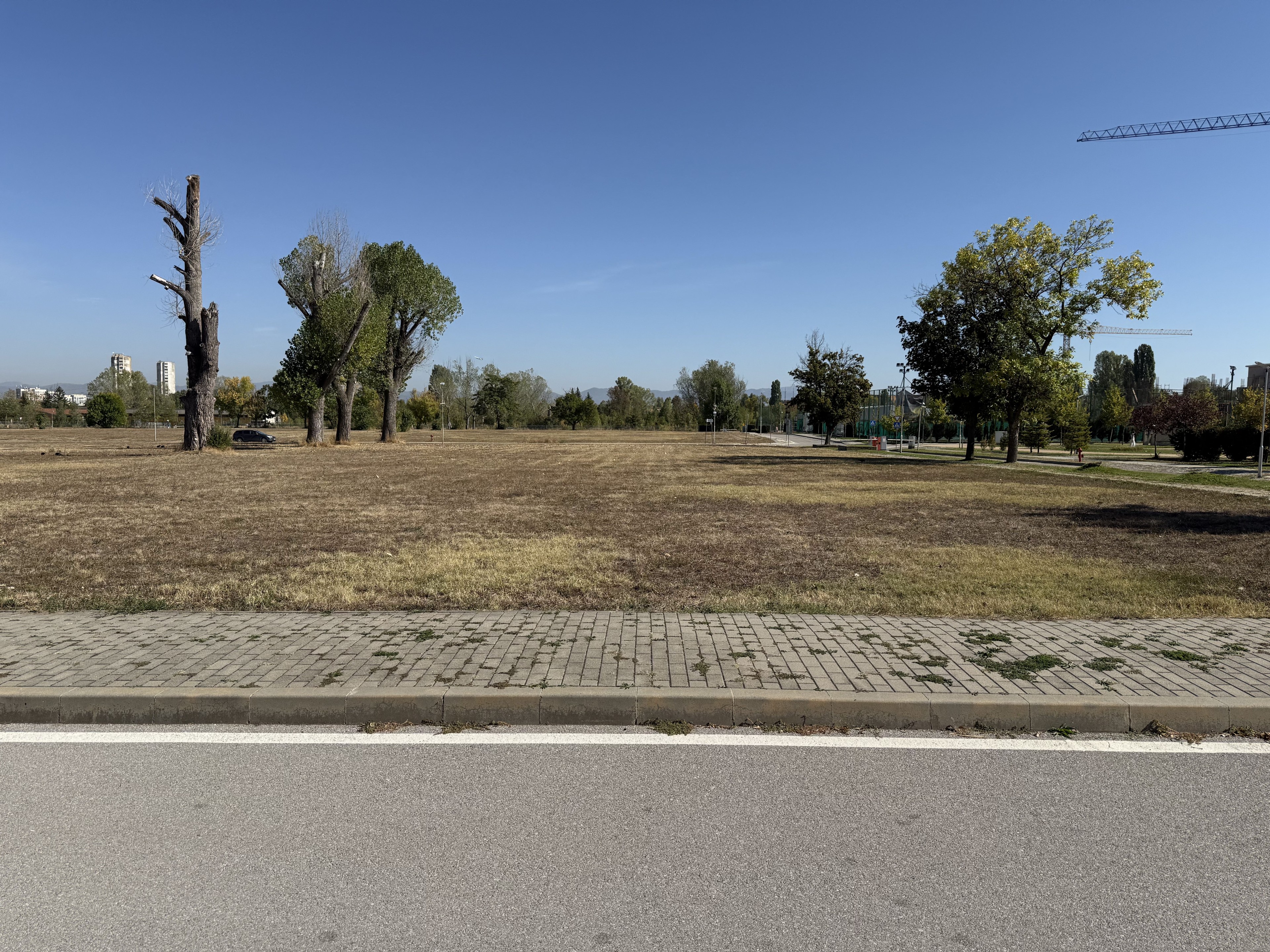 Scoutaround White Logo