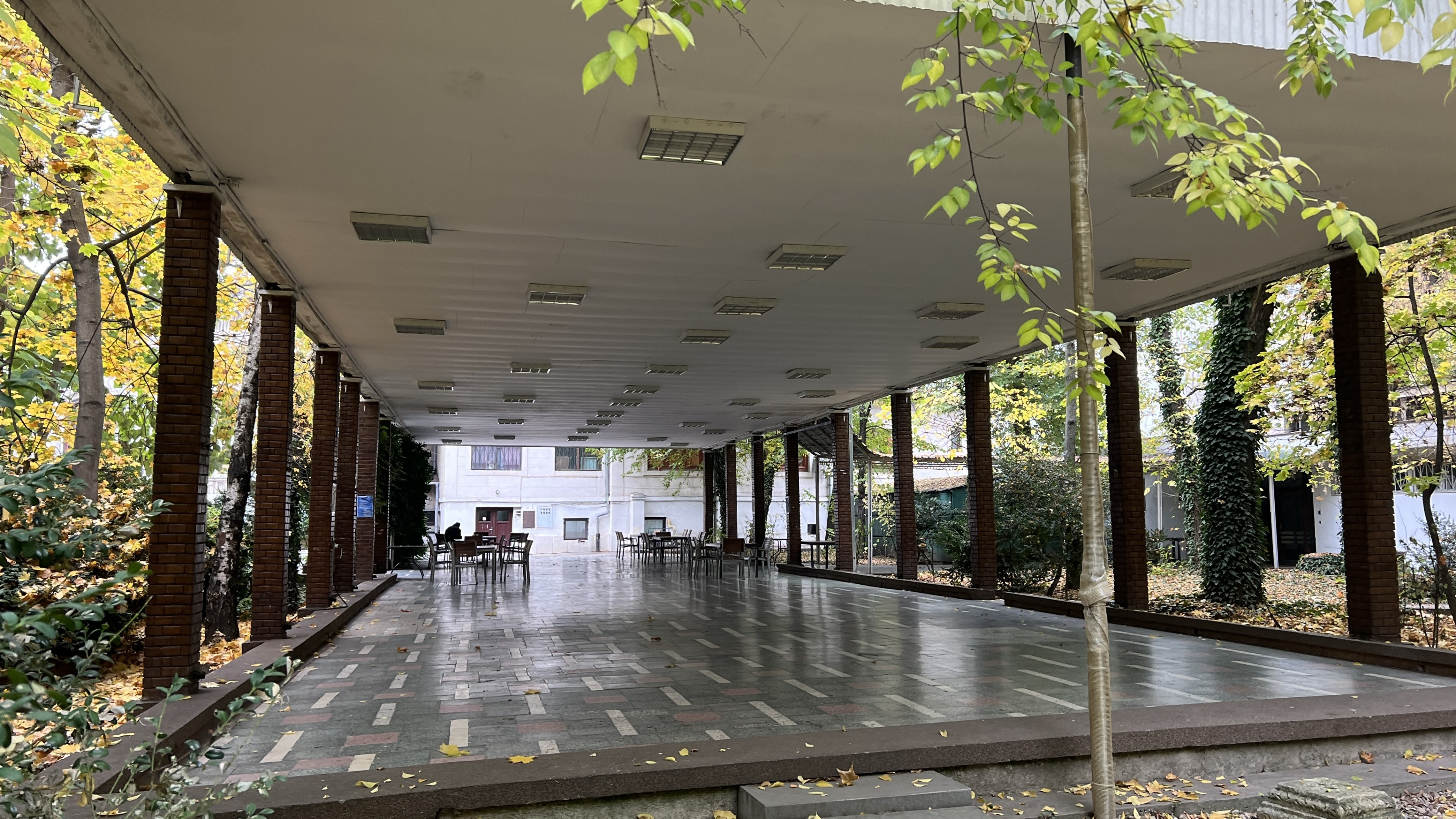 Scoutaround White Logo